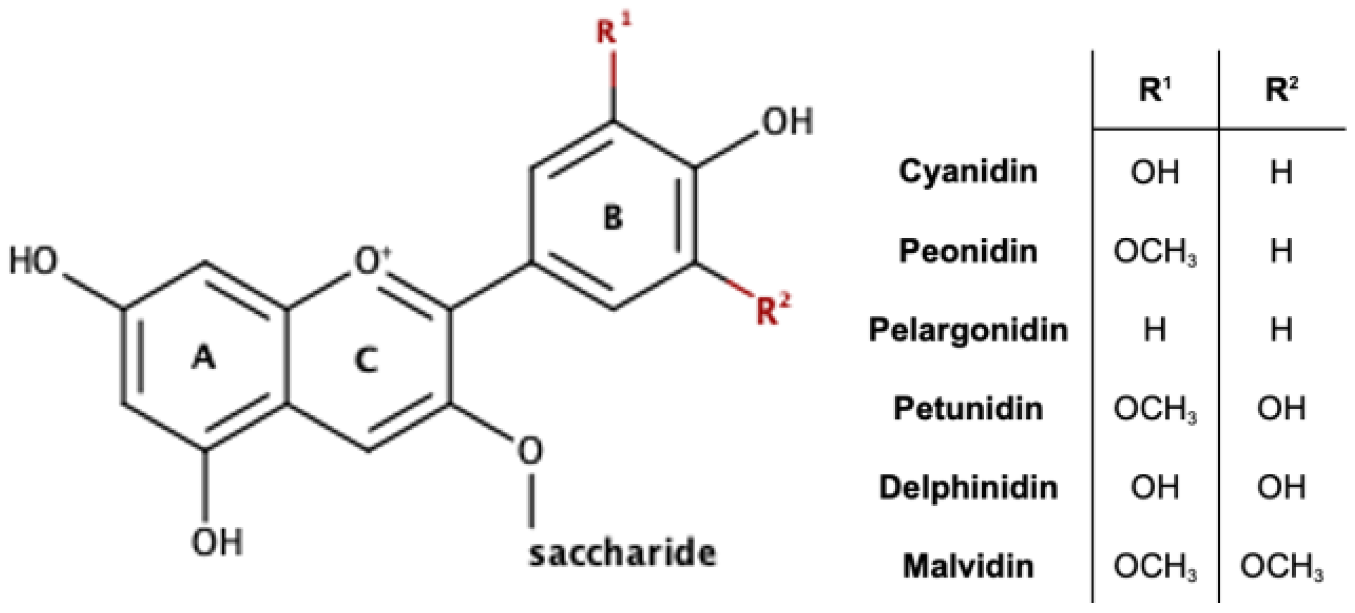 Pharmaceuticals 16 00638 g001 Pharmaceuticals 16 00638 g001