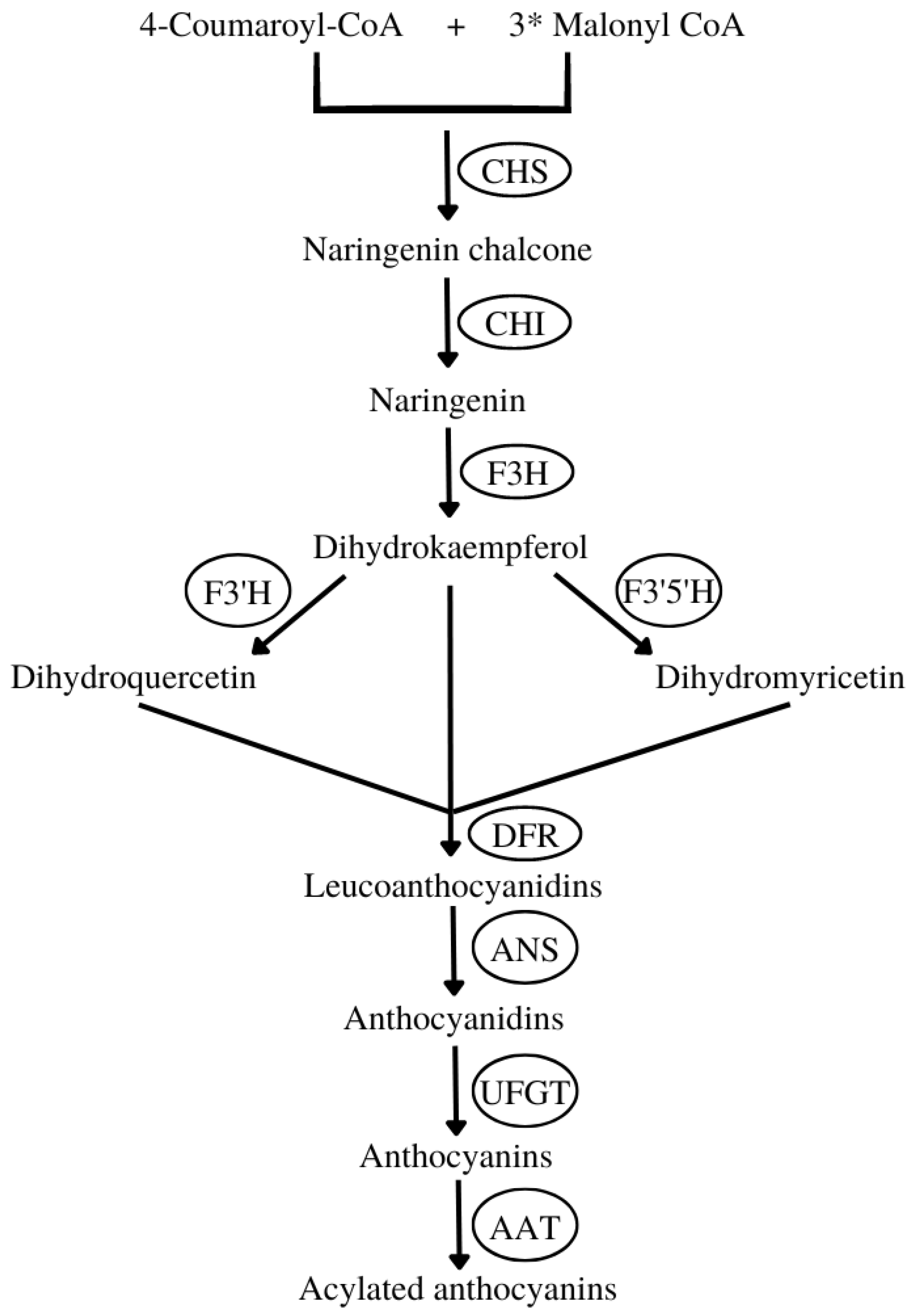 Pharmaceuticals 16 00638 g003 Pharmaceuticals 16 00638 g003
