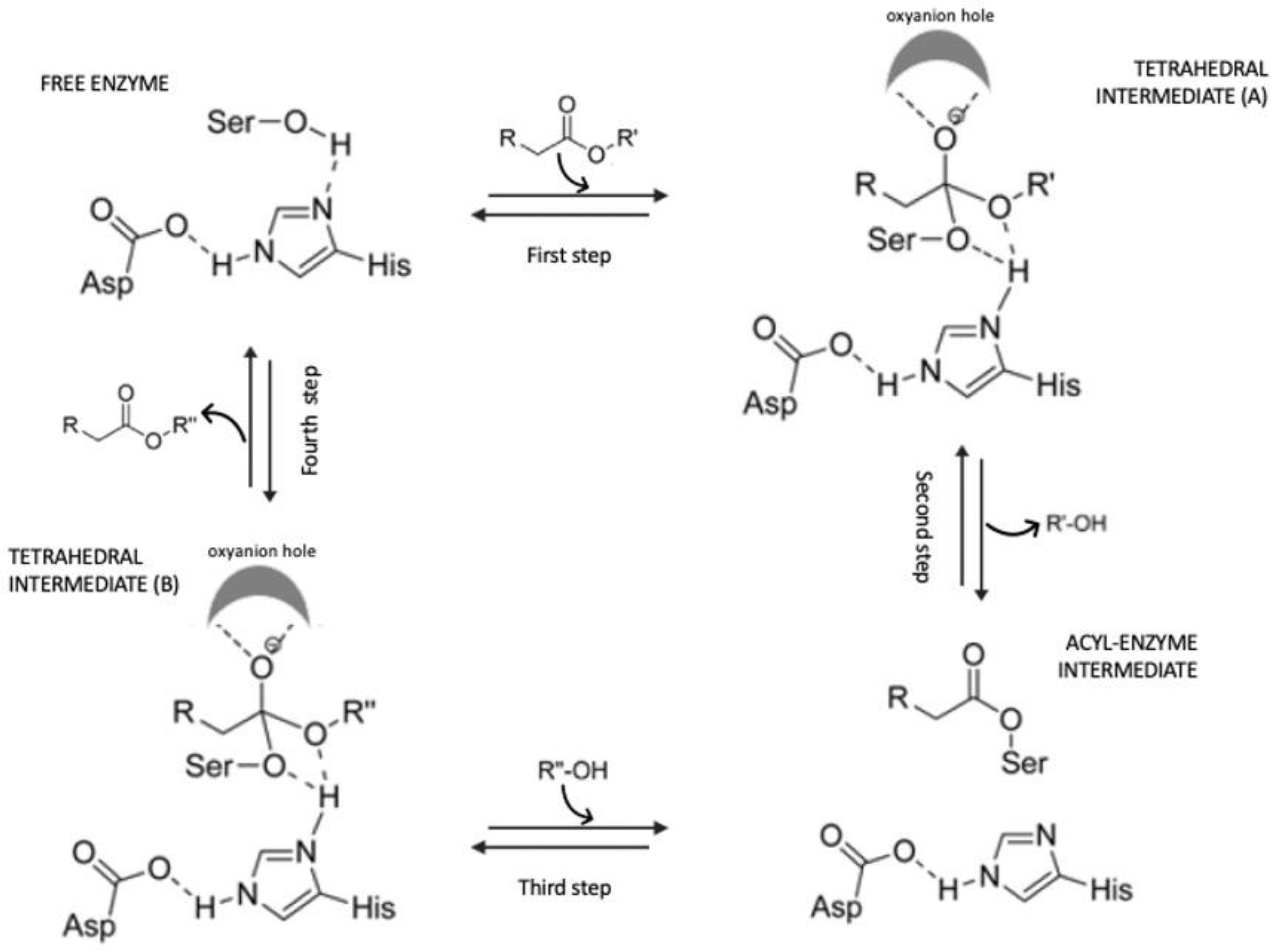 Pharmaceuticals 16 00638 g005 Pharmaceuticals 16 00638 g005