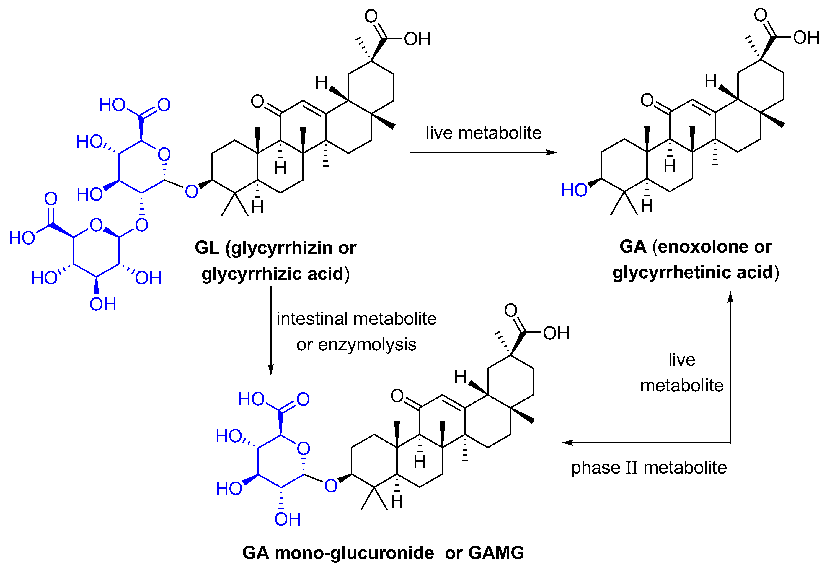 Pharmaceuticals 16 00641 g001 Pharmaceuticals 16 00641 g001