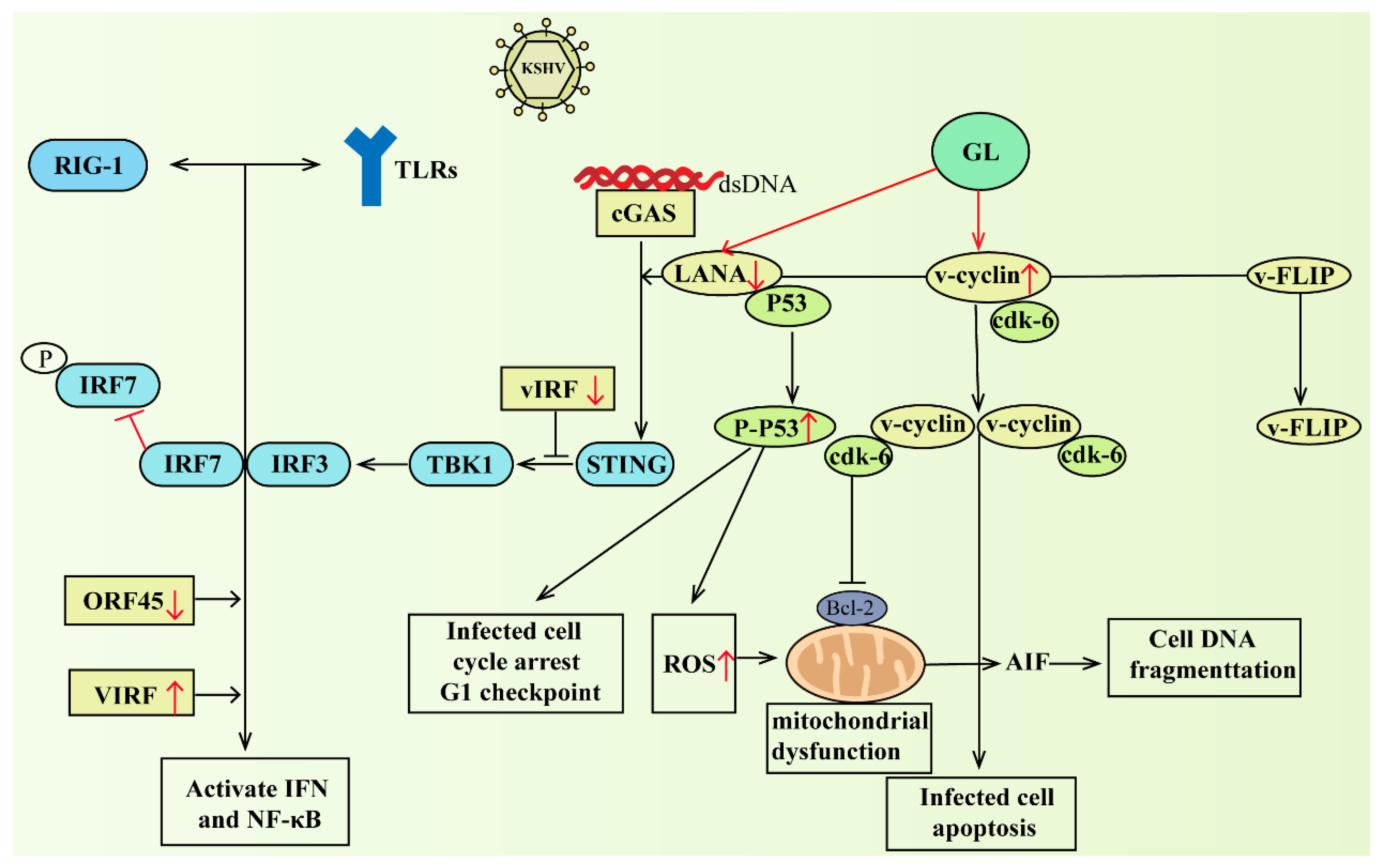 Pharmaceuticals 16 00641 g003 Pharmaceuticals 16 00641 g003