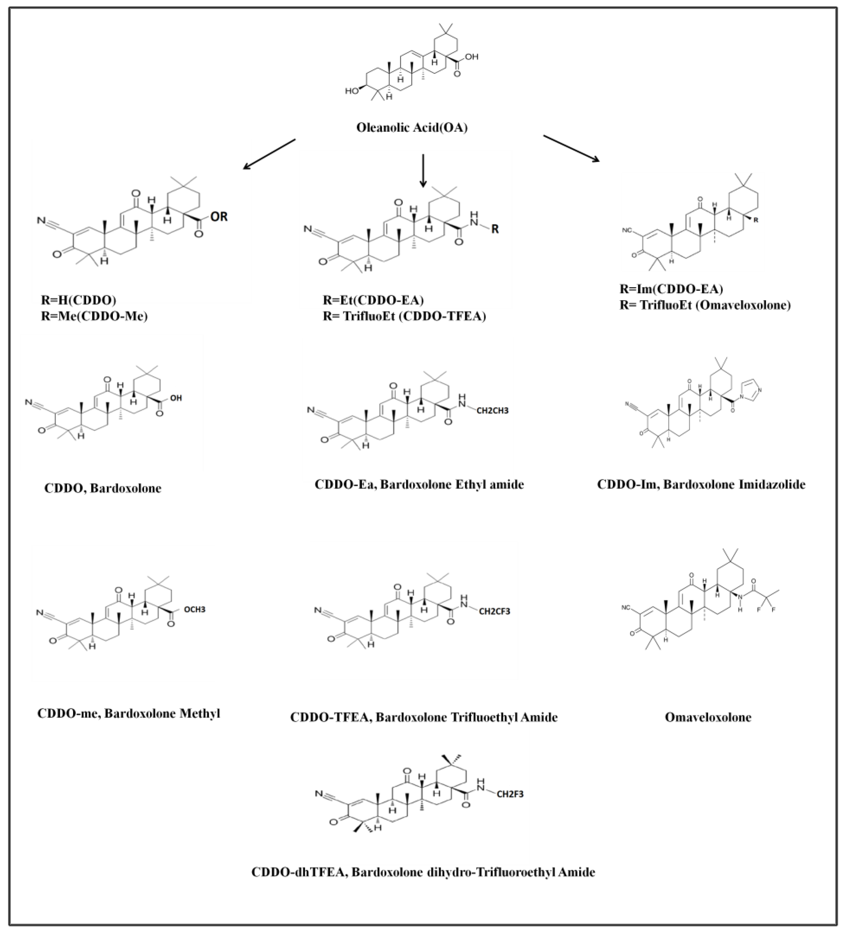 Pharmaceuticals 16 00642 g001
