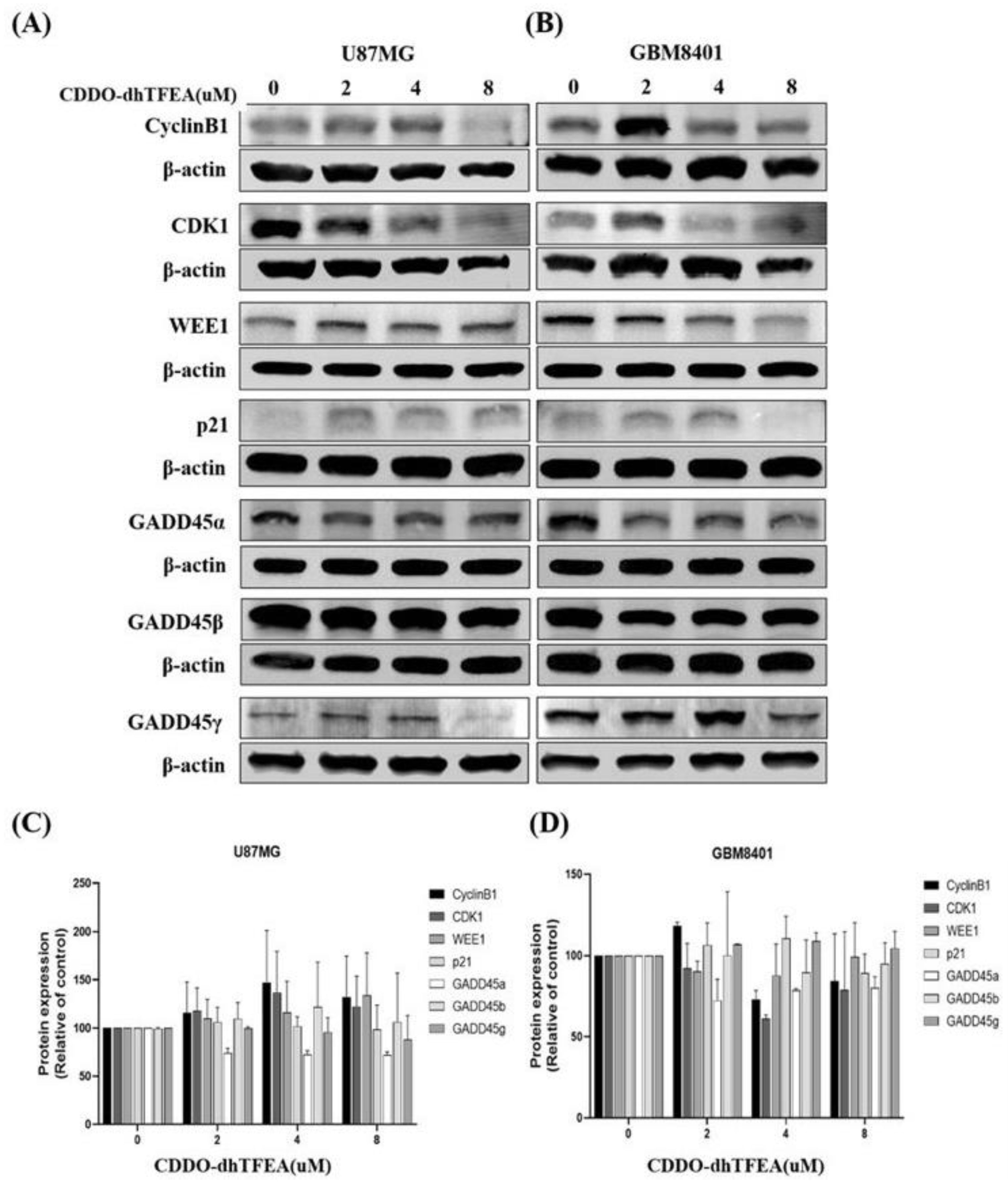 Pharmaceuticals 16 00642 g006