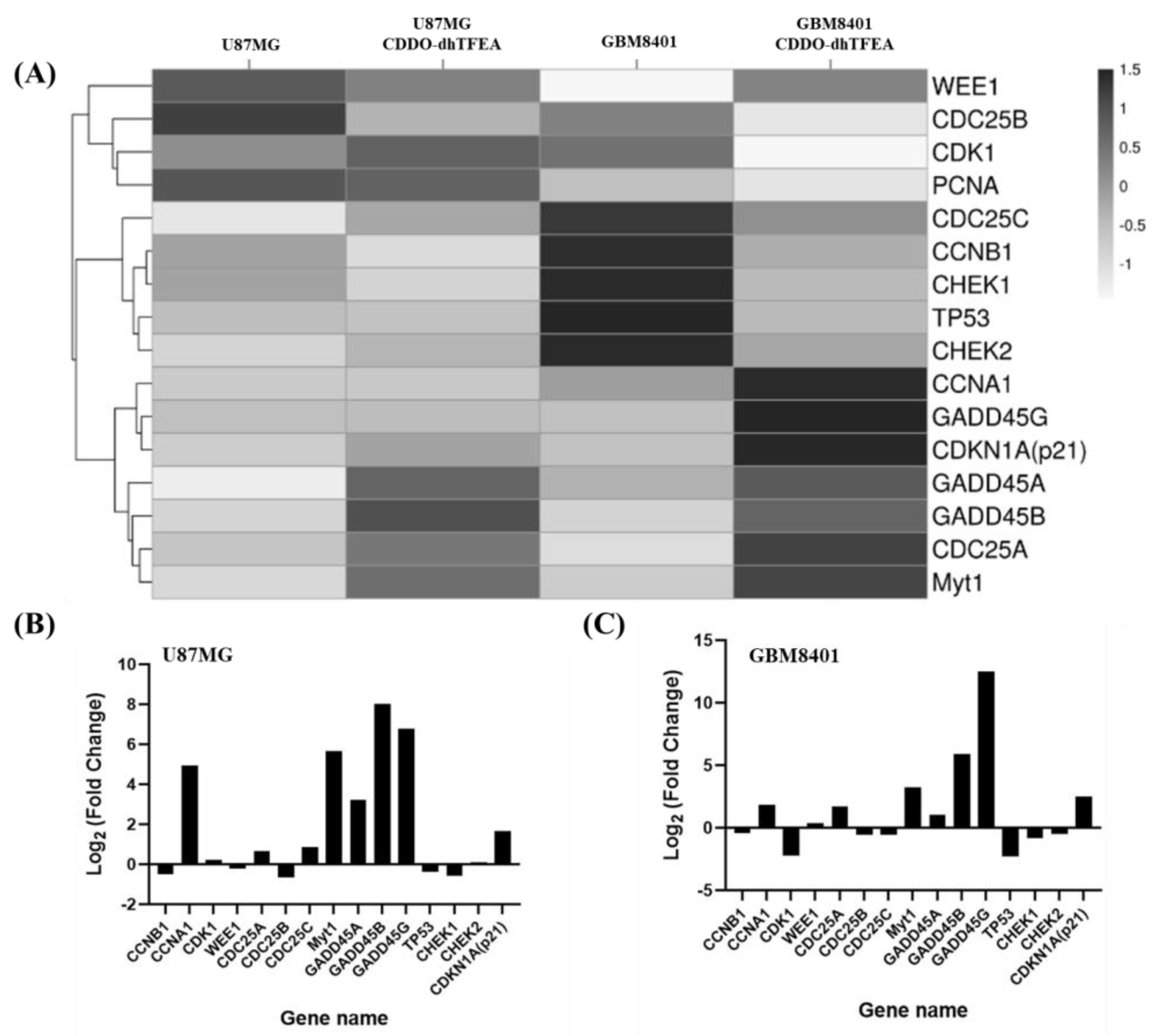 Pharmaceuticals 16 00642 g007