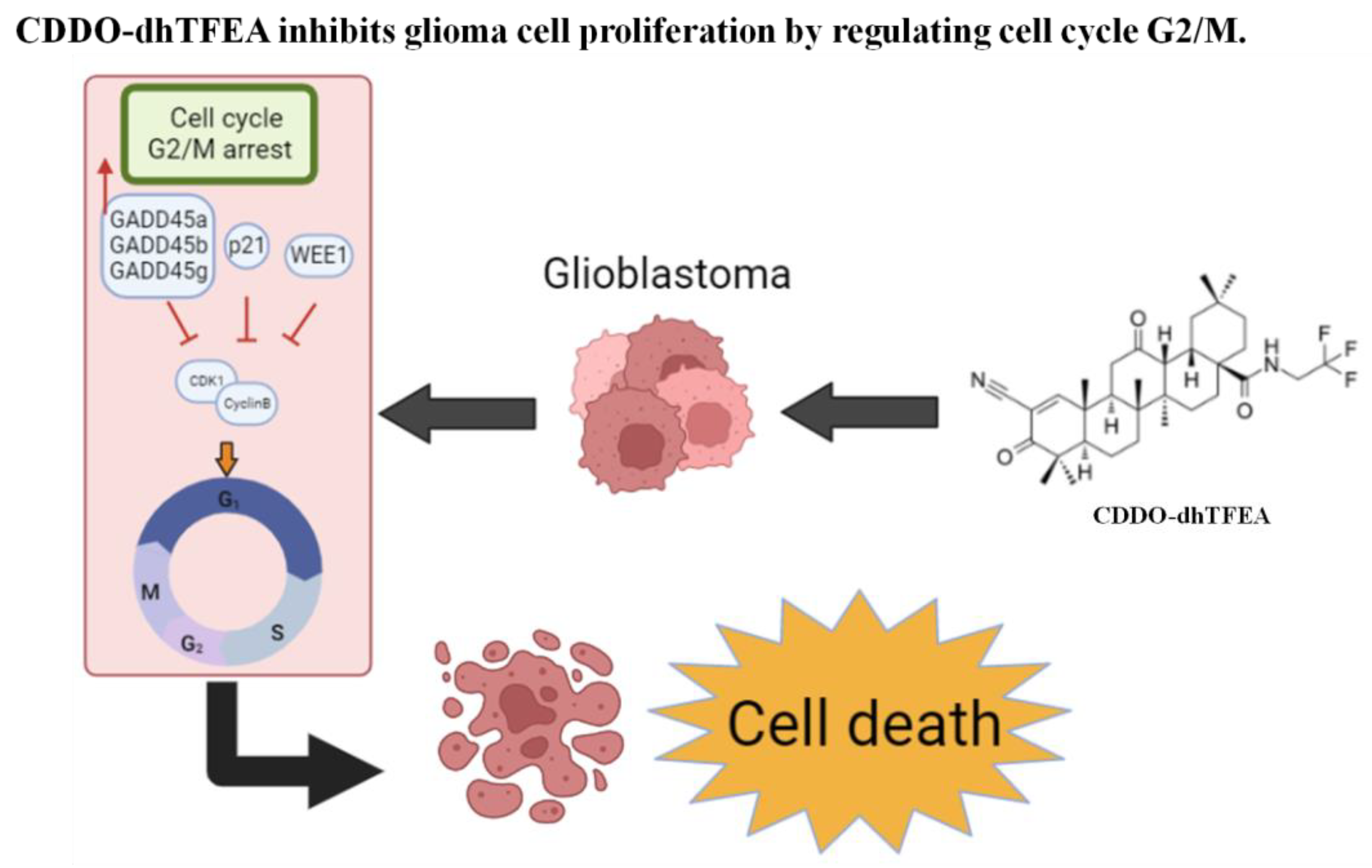 Pharmaceuticals 16 00642 g008