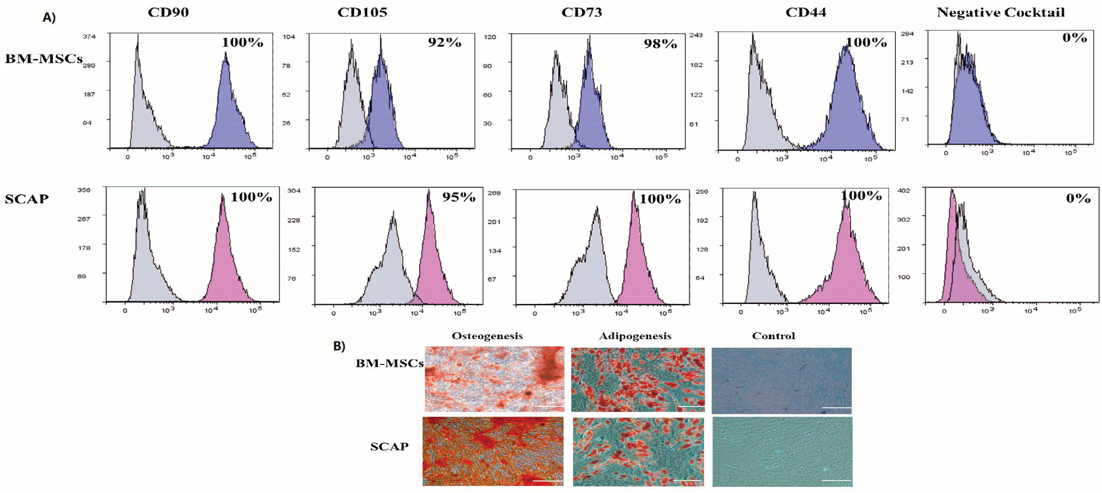 Pharmaceuticals 16 00649 g001 Pharmaceuticals 16 00649 g001