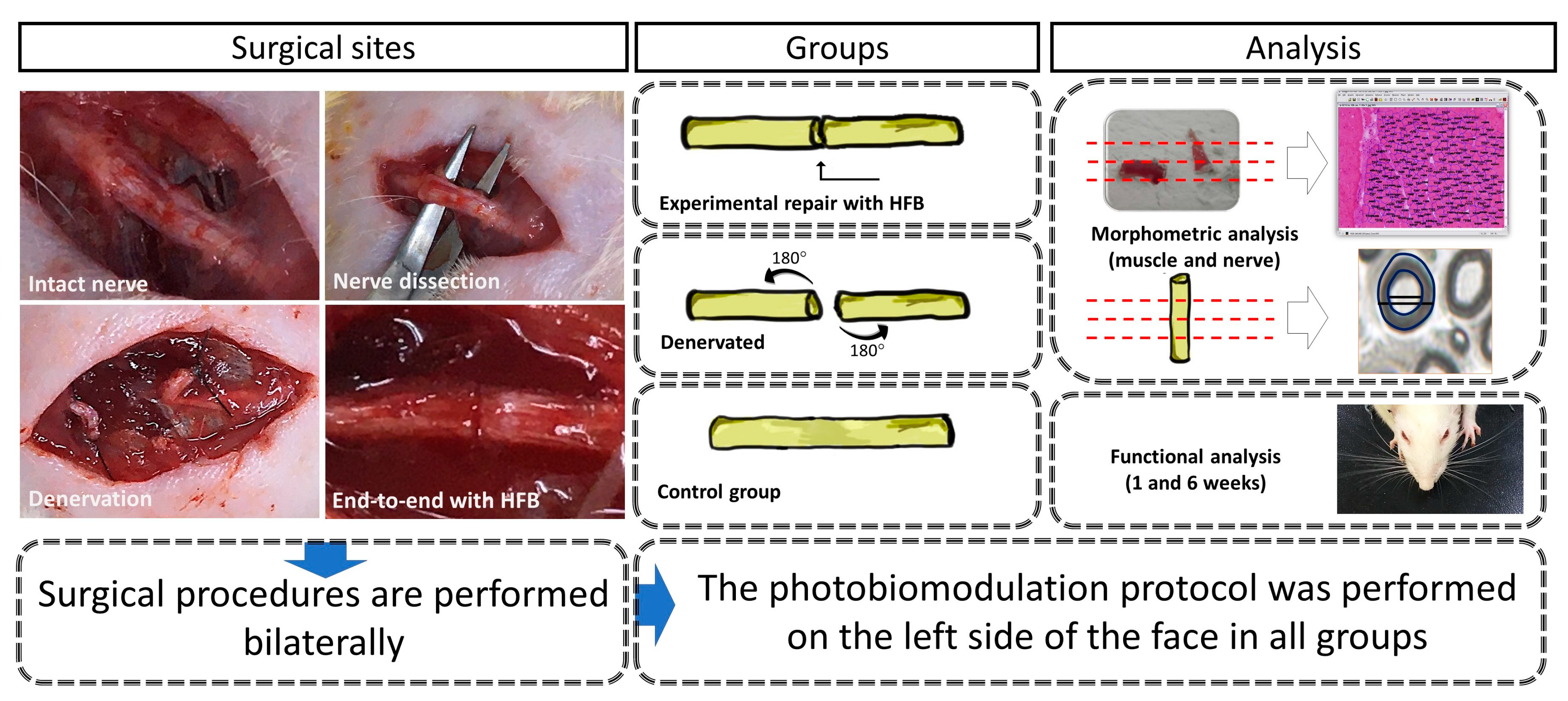 Pharmaceuticals 16 00653 g001 Pharmaceuticals 16 00653 g001
