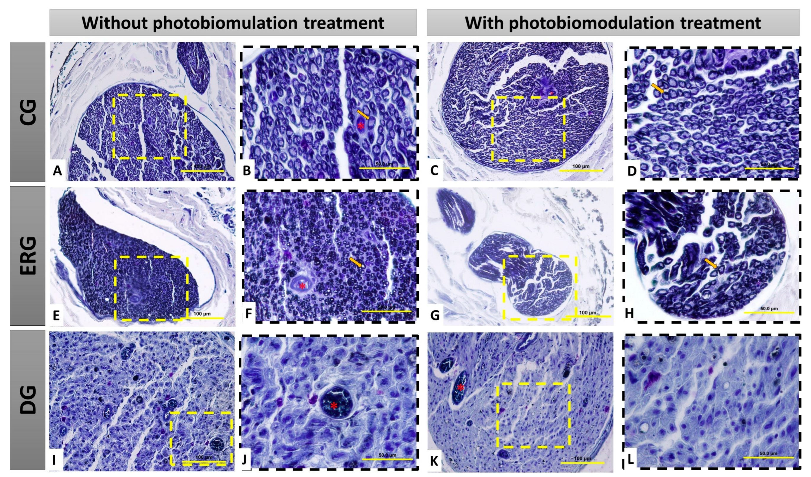 Pharmaceuticals 16 00653 g002 Pharmaceuticals 16 00653 g002