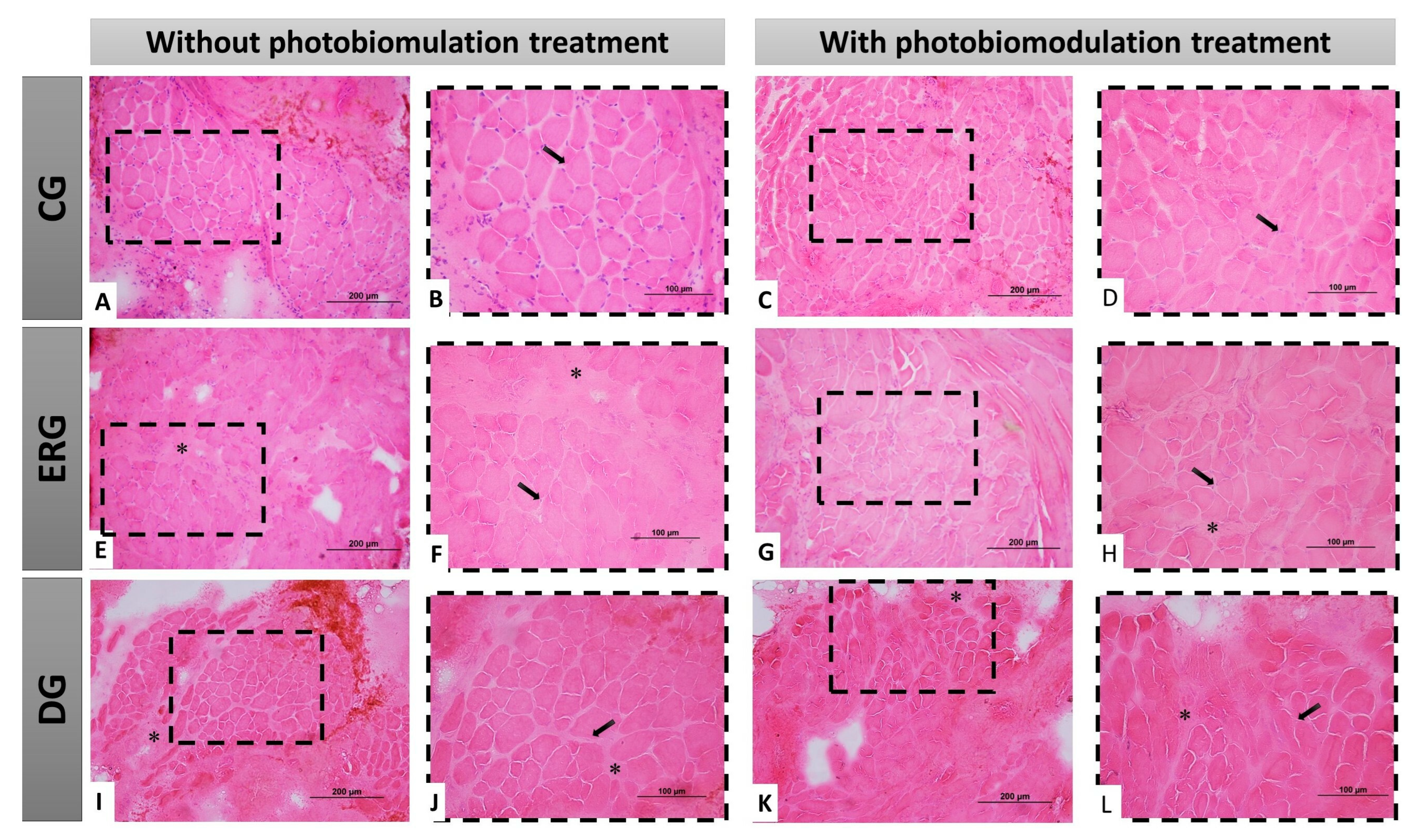 Pharmaceuticals 16 00653 g004 Pharmaceuticals 16 00653 g004