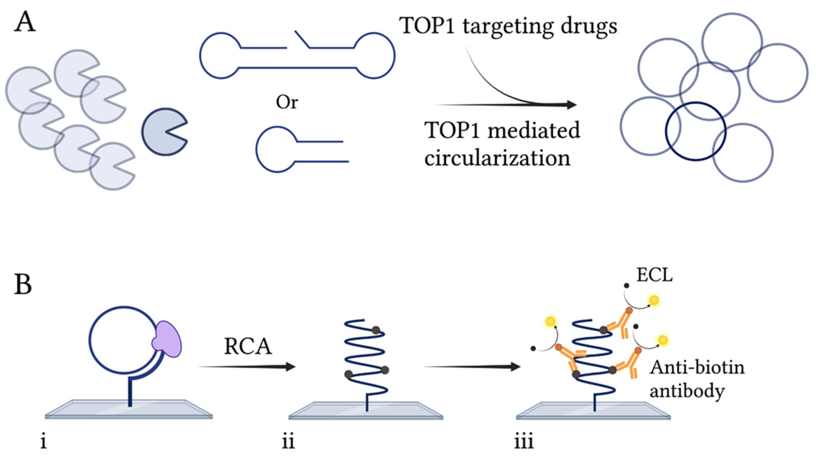 Pharmaceuticals 16 00657 g001 Pharmaceuticals 16 00657 g001