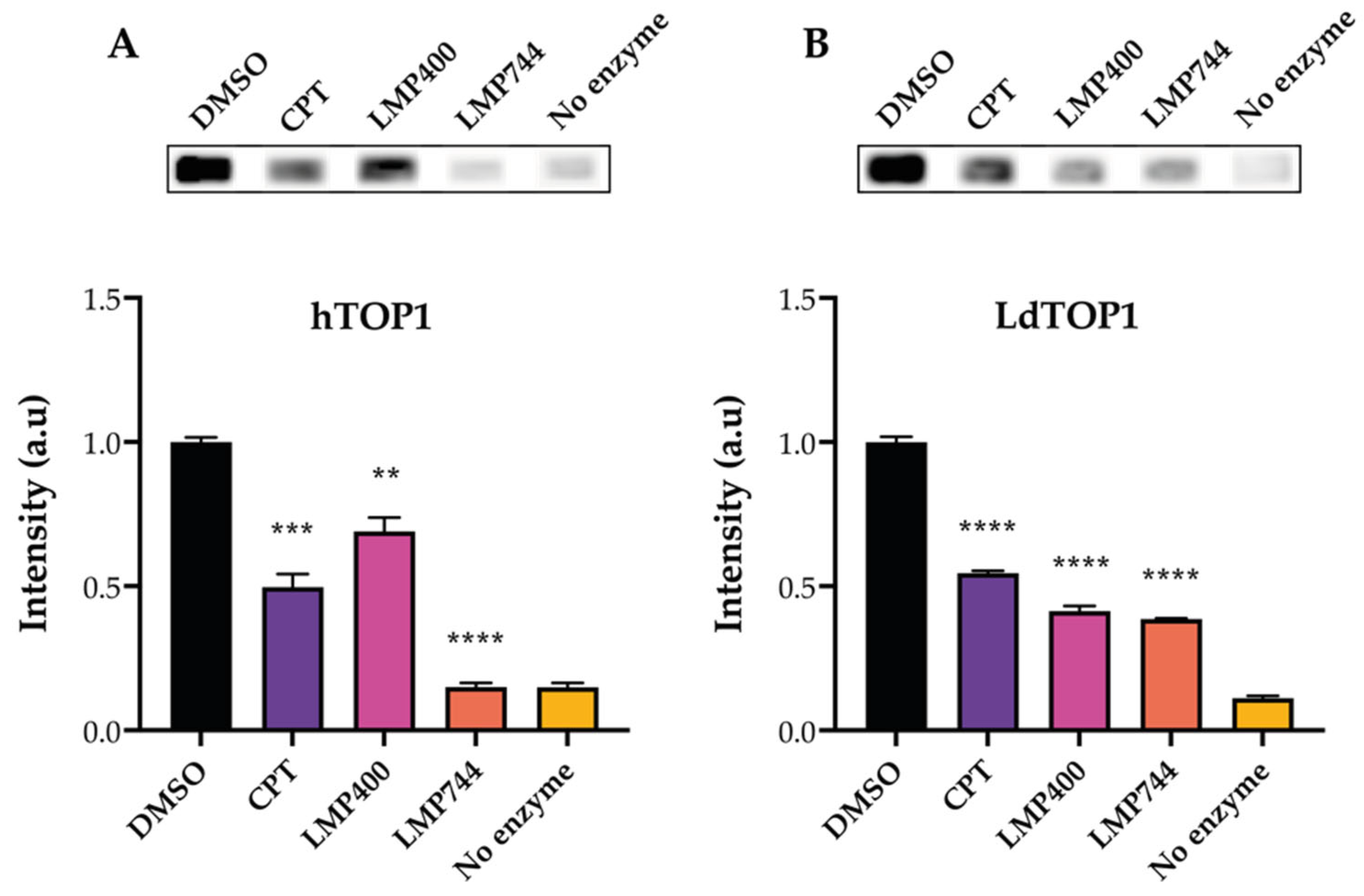 Pharmaceuticals 16 00657 g002 Pharmaceuticals 16 00657 g002