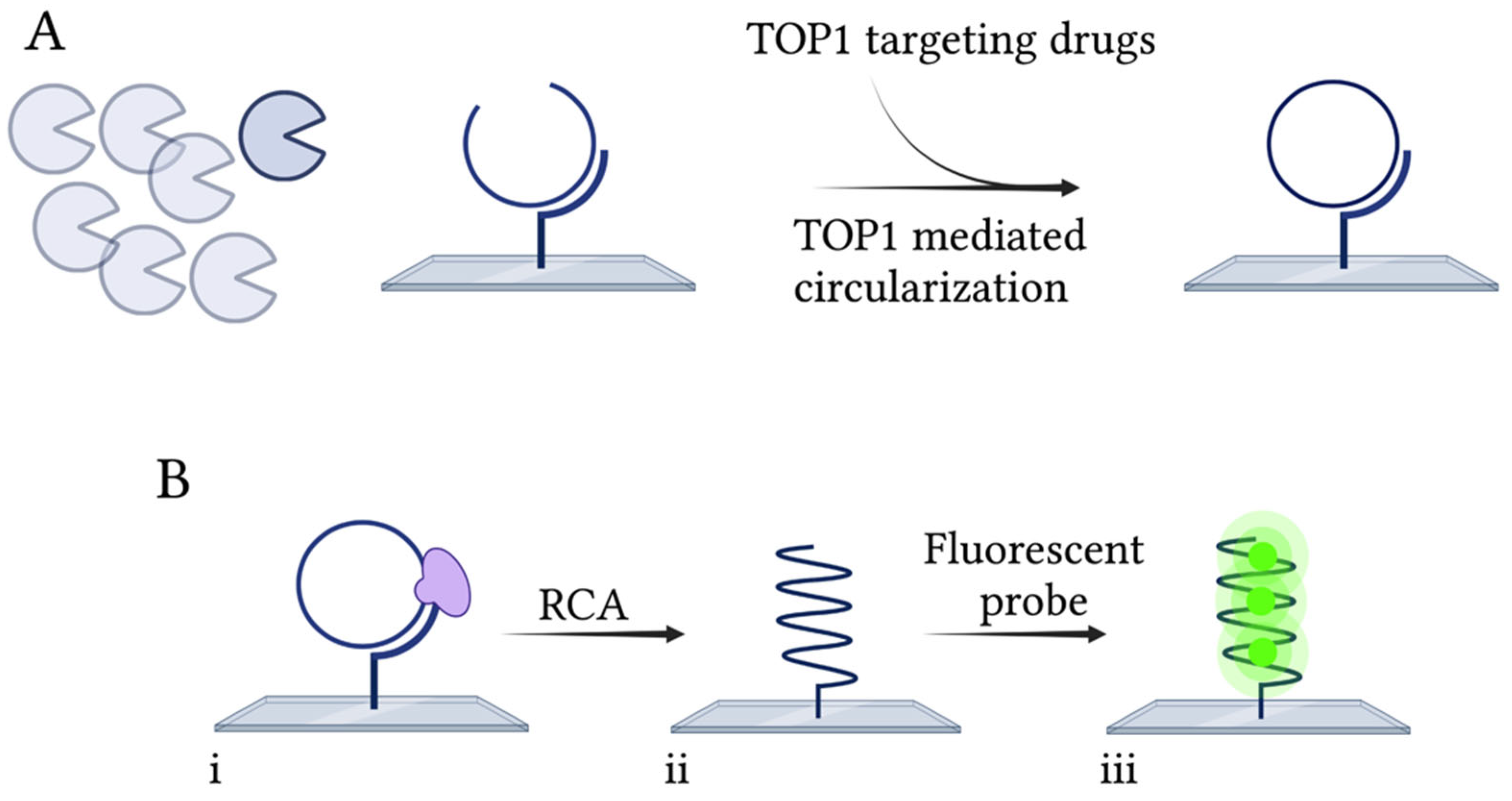 Pharmaceuticals 16 00657 g004 Pharmaceuticals 16 00657 g004