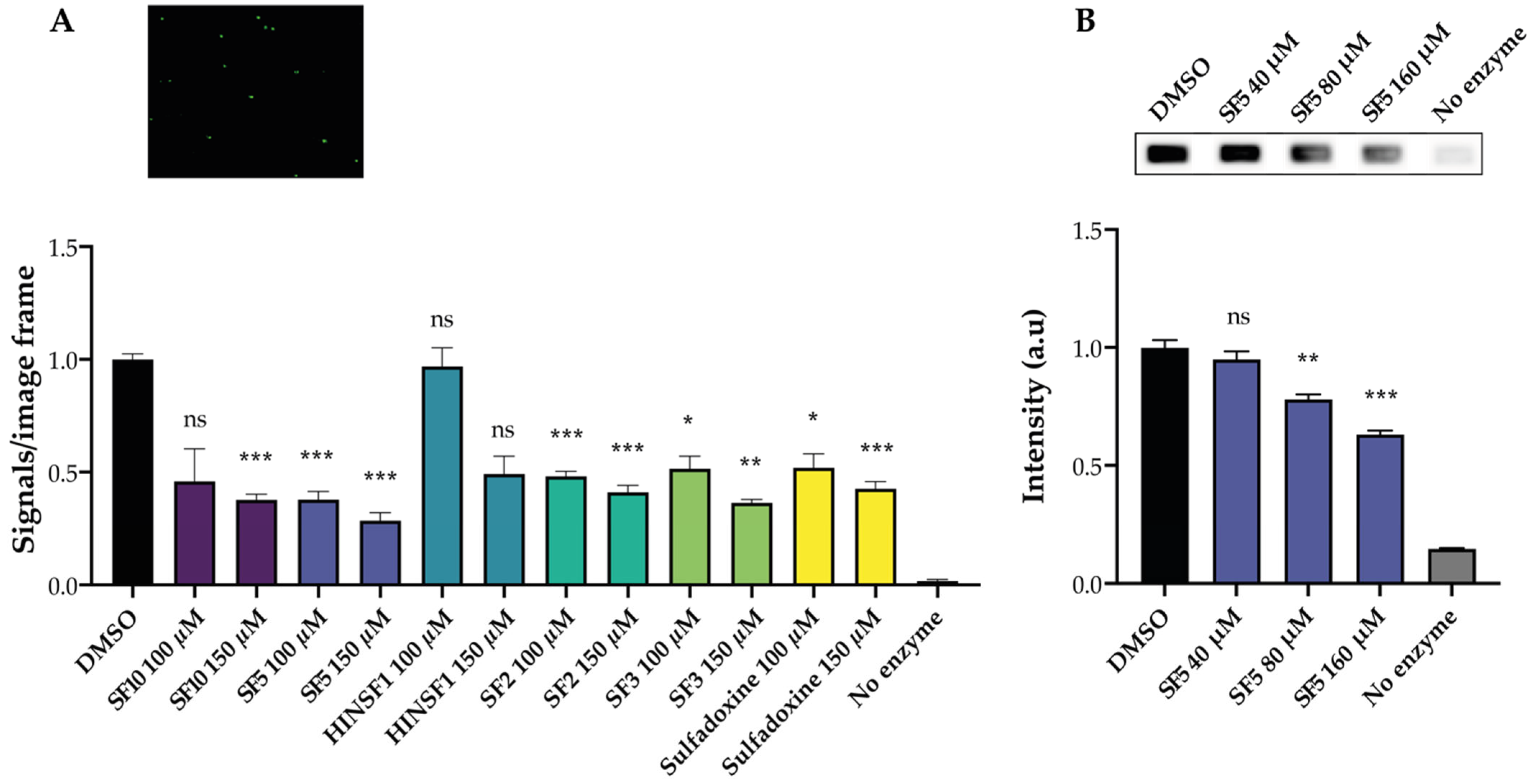 Pharmaceuticals 16 00657 g005 Pharmaceuticals 16 00657 g005