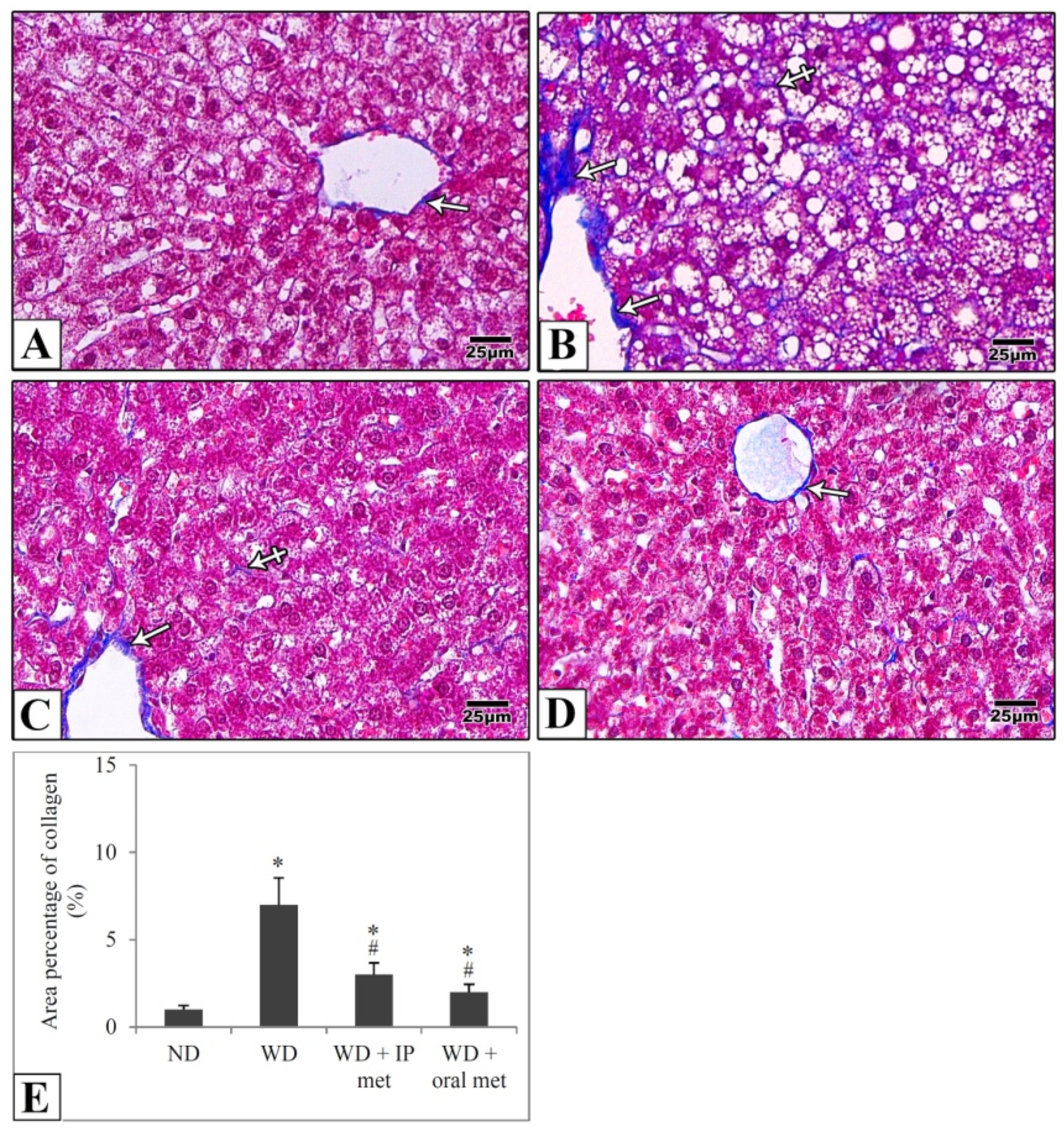 Pharmaceuticals 16 00658 g003 Pharmaceuticals 16 00658 g003