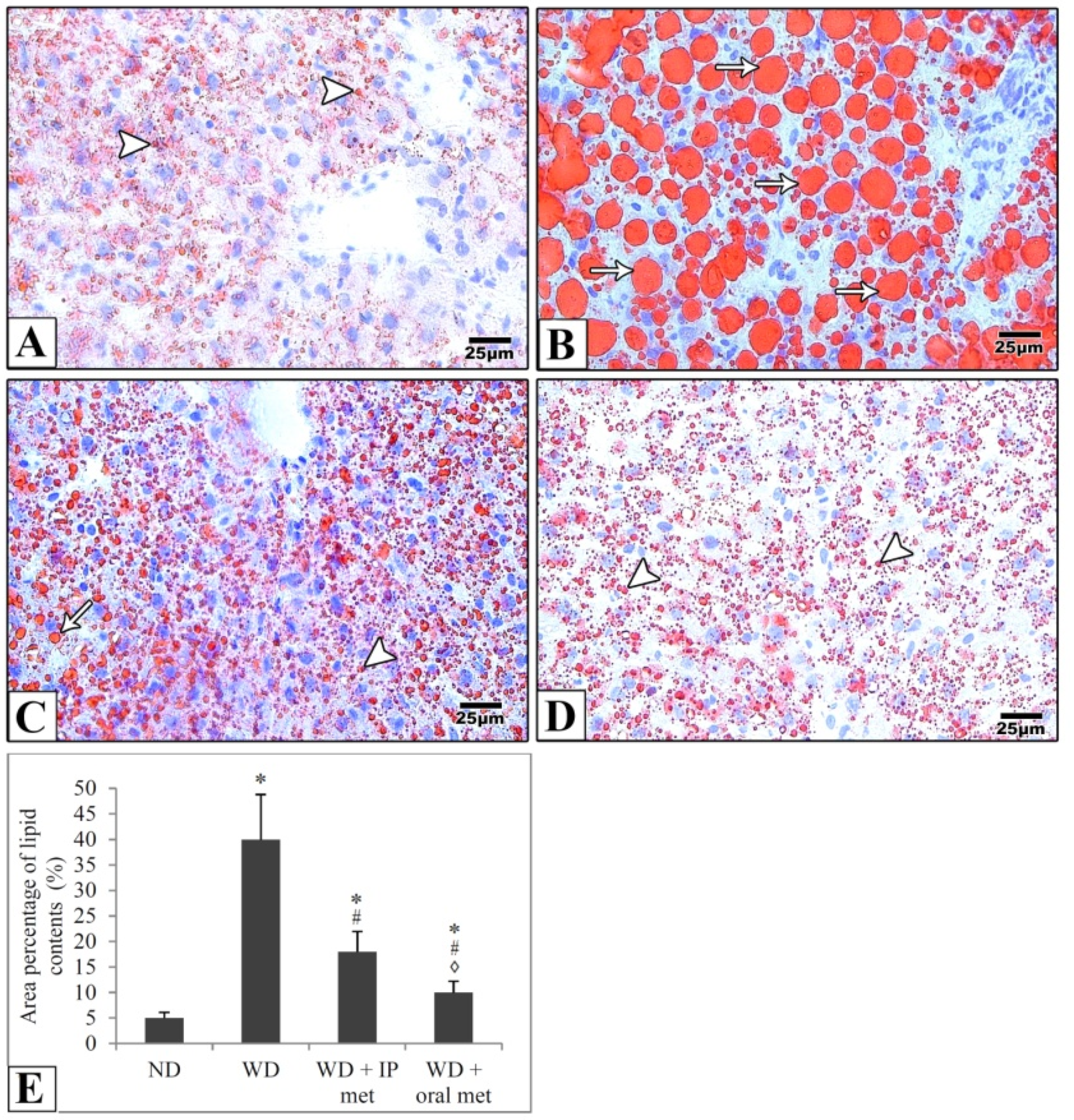 Pharmaceuticals 16 00658 g004 Pharmaceuticals 16 00658 g004