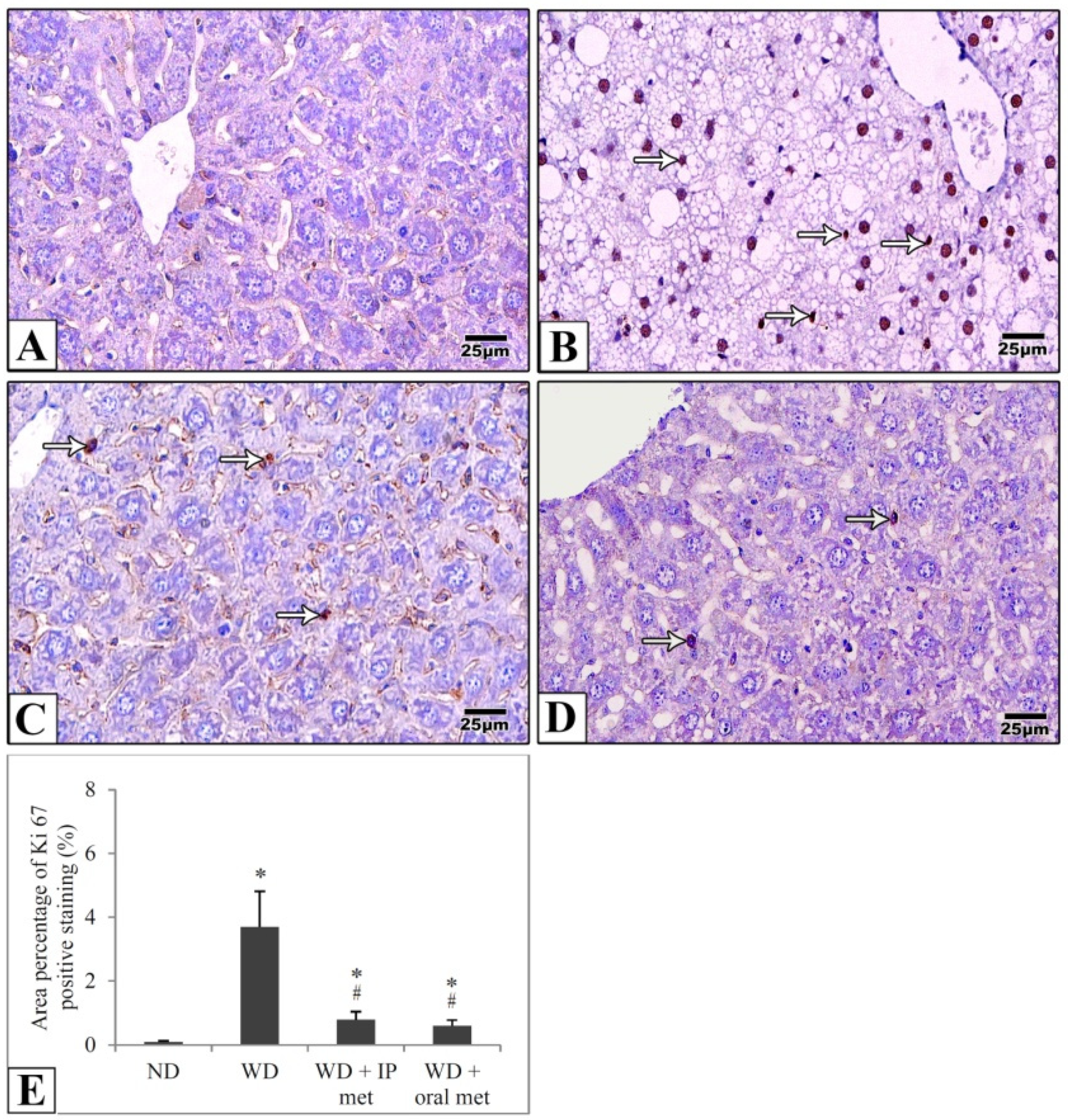 Pharmaceuticals 16 00658 g005 Pharmaceuticals 16 00658 g005