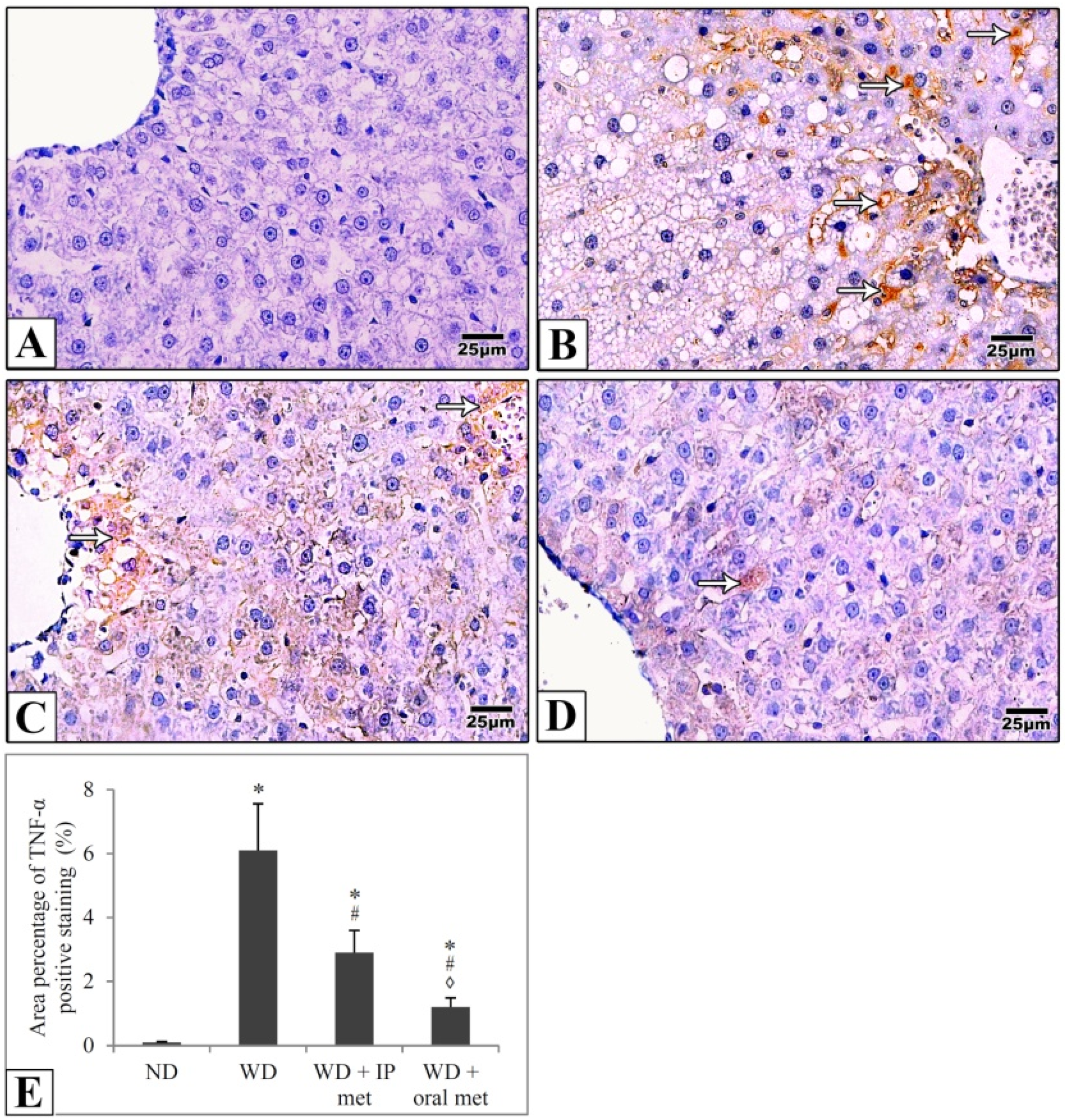 Pharmaceuticals 16 00658 g006 Pharmaceuticals 16 00658 g006