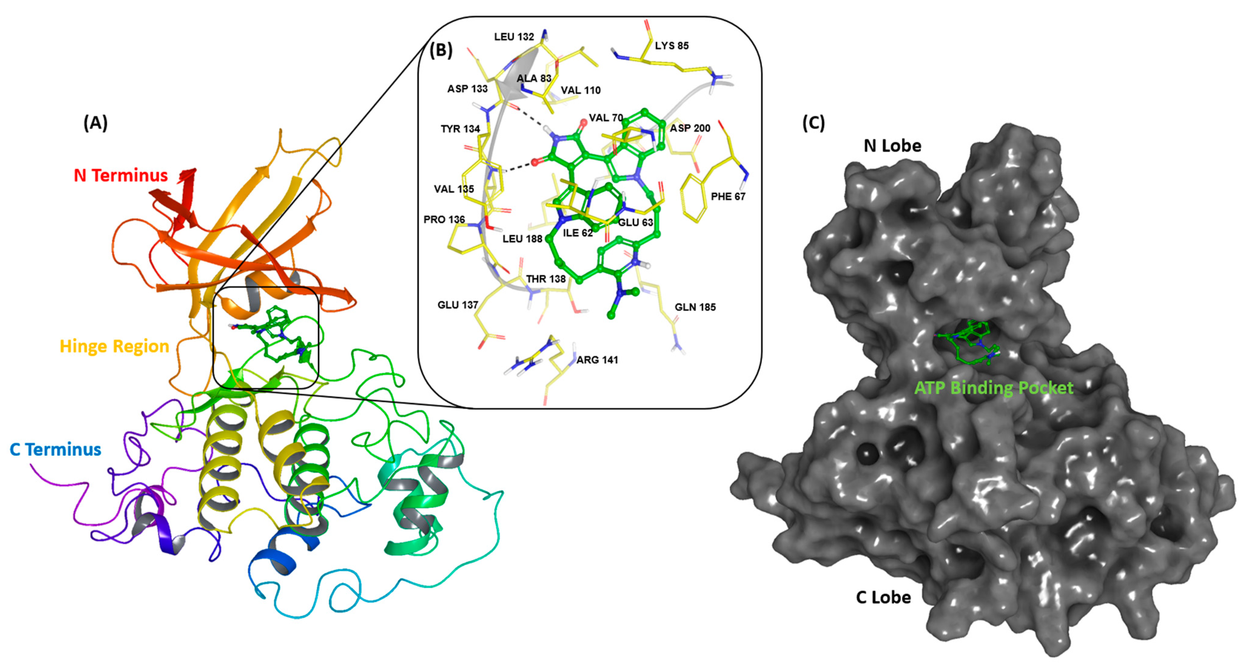 Pharmaceuticals 16 00661 g001 Pharmaceuticals 16 00661 g001