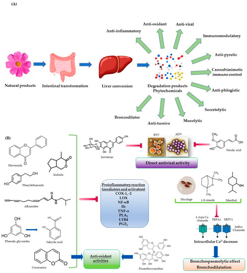 Natural Products for the Prevention and Treatment of Common Cold ...