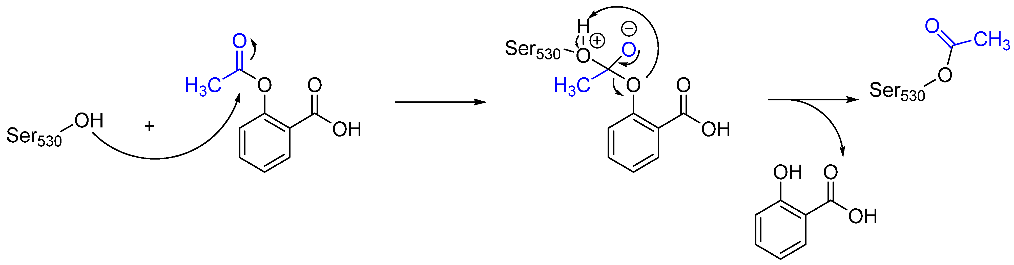Pharmaceuticals 16 00663 g004 Pharmaceuticals 16 00663 g004