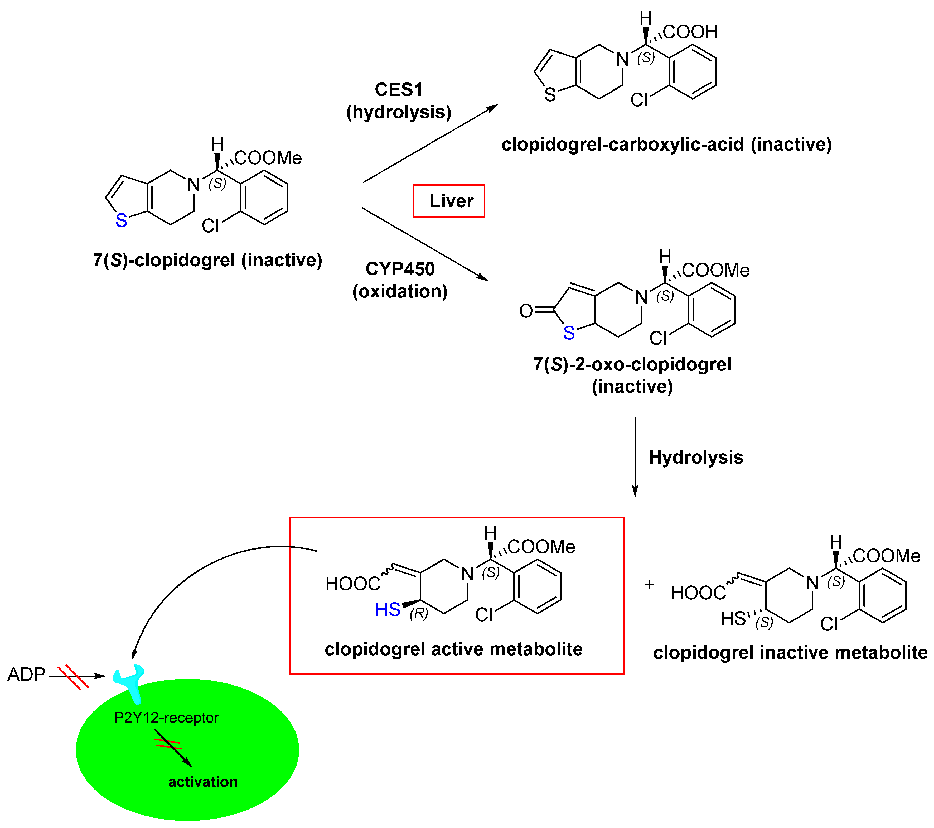 Pharmaceuticals 16 00663 g007 Pharmaceuticals 16 00663 g007