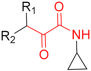 Pharmaceuticals 16 00663 i002 Pharmaceuticals 16 00663 i002