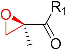 Pharmaceuticals 16 00663 i004 Pharmaceuticals 16 00663 i004