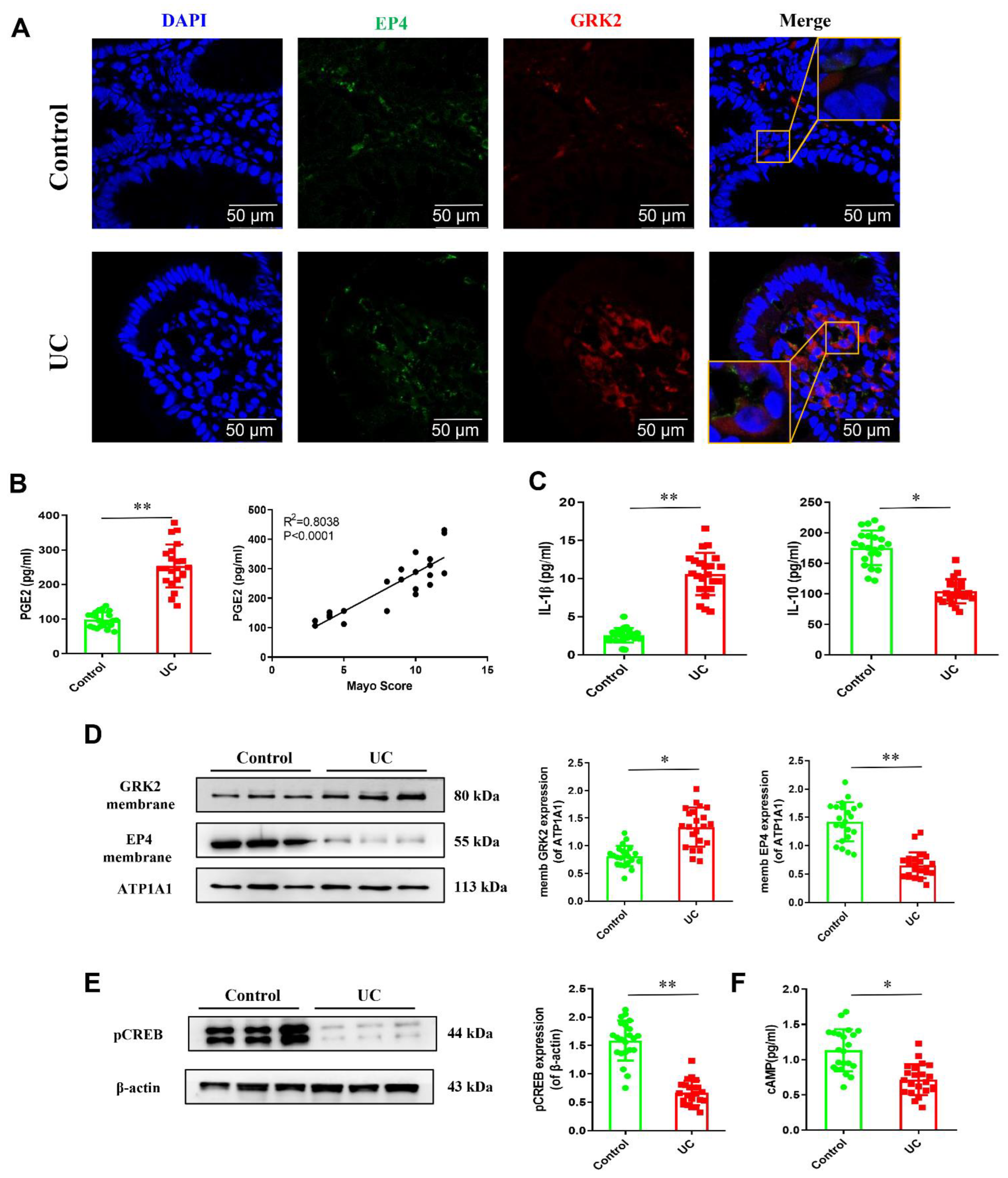 Pharmaceuticals 16 00664 g002 Pharmaceuticals 16 00664 g002