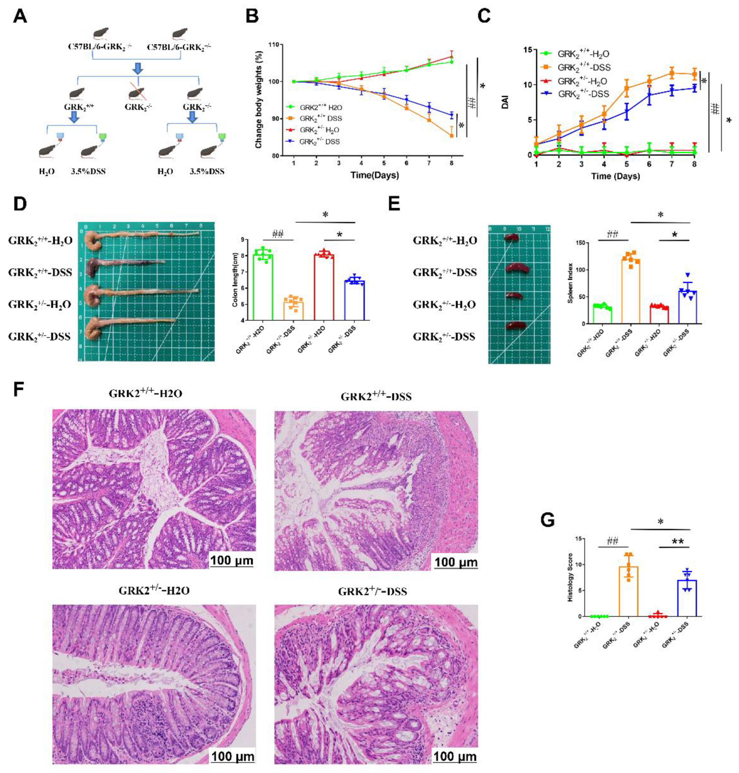 Pharmaceuticals 16 00664 g003 Pharmaceuticals 16 00664 g003