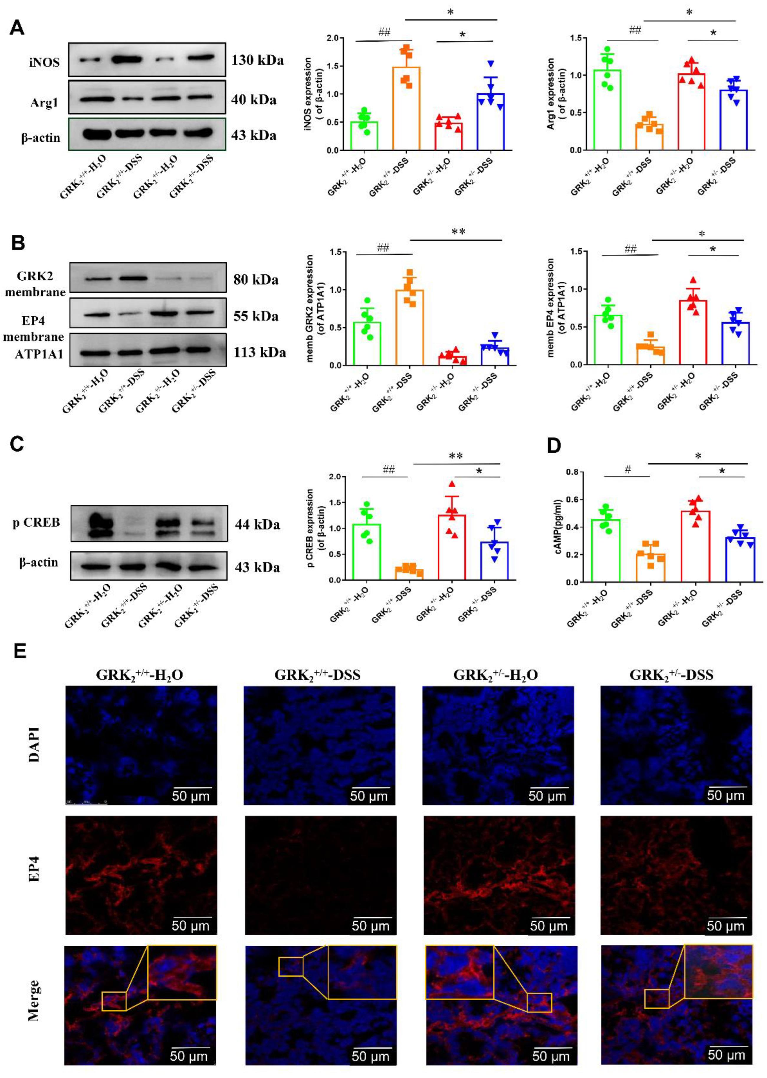 Pharmaceuticals 16 00664 g004 Pharmaceuticals 16 00664 g004