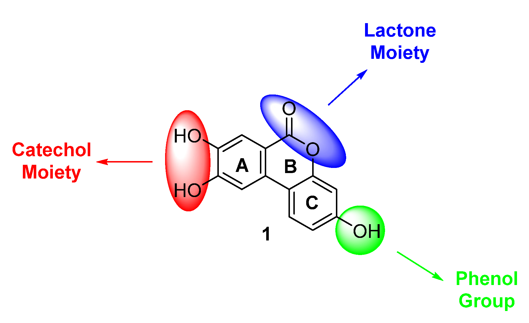 Pharmaceuticals 16 00668 g002