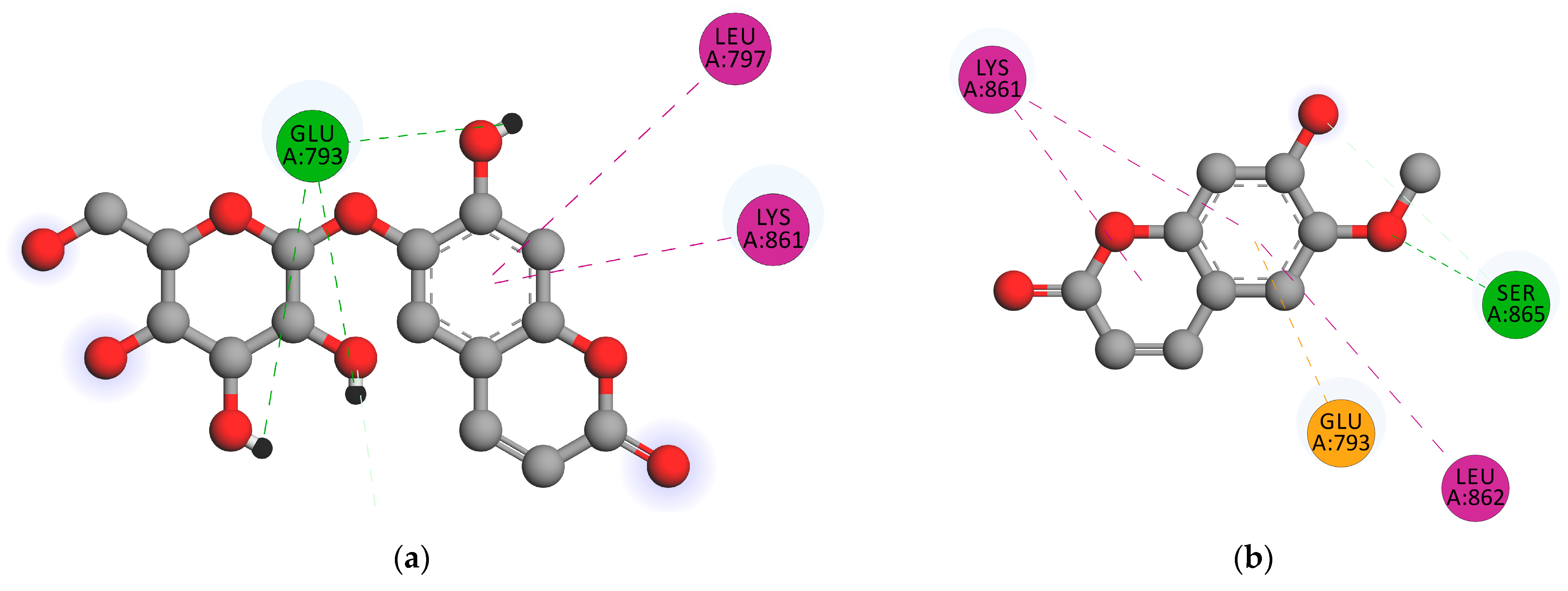 Pharmaceuticals 16 00669 g003 Pharmaceuticals 16 00669 g003