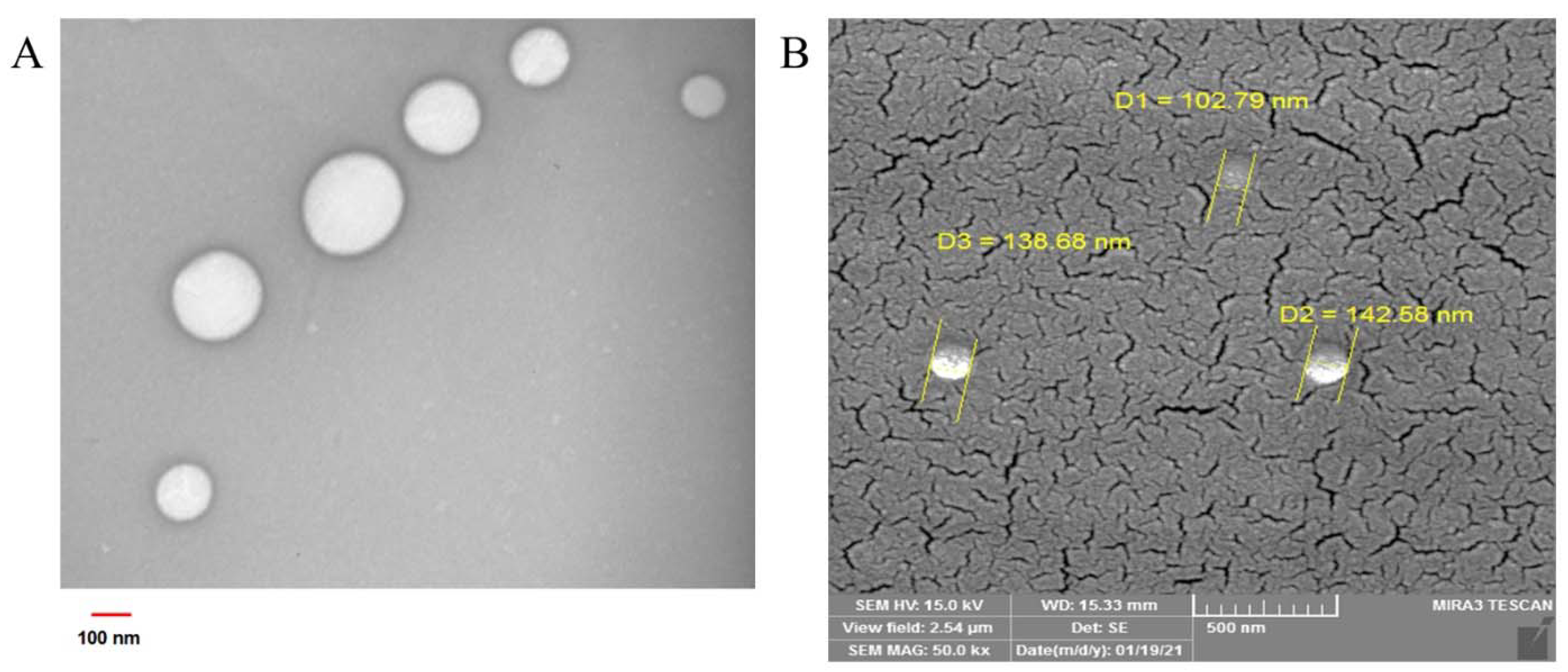 Pharmaceuticals 16 00670 g004 Pharmaceuticals 16 00670 g004