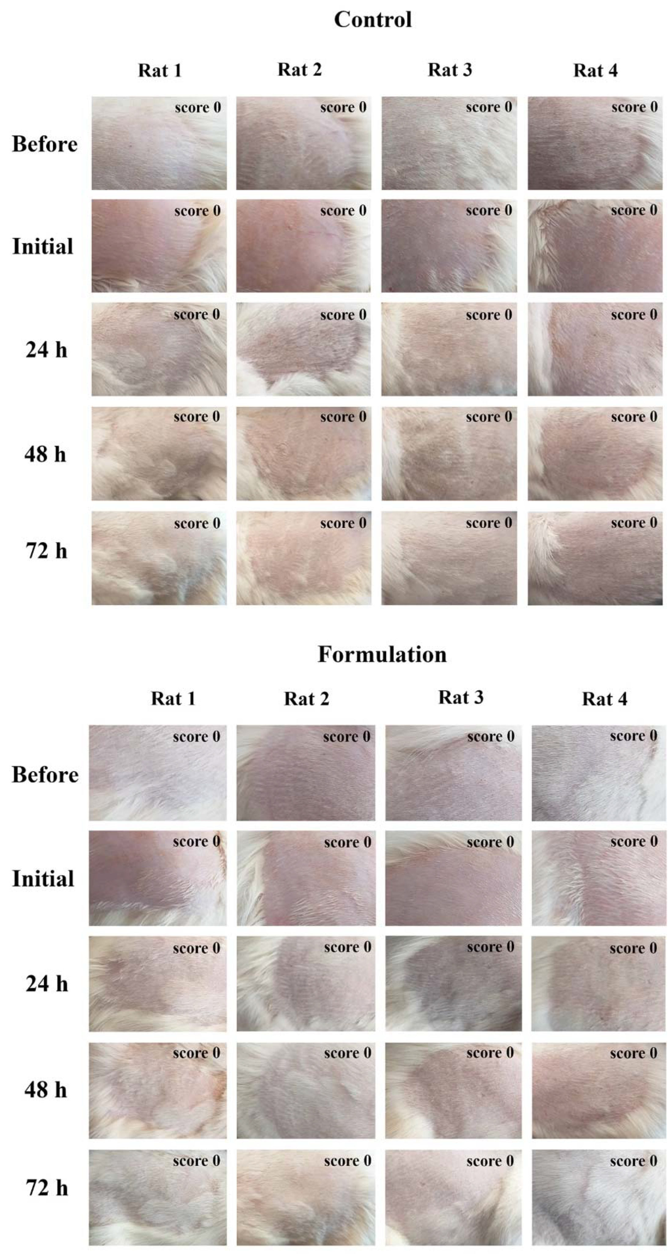 Pharmaceuticals 16 00670 g006 Pharmaceuticals 16 00670 g006
