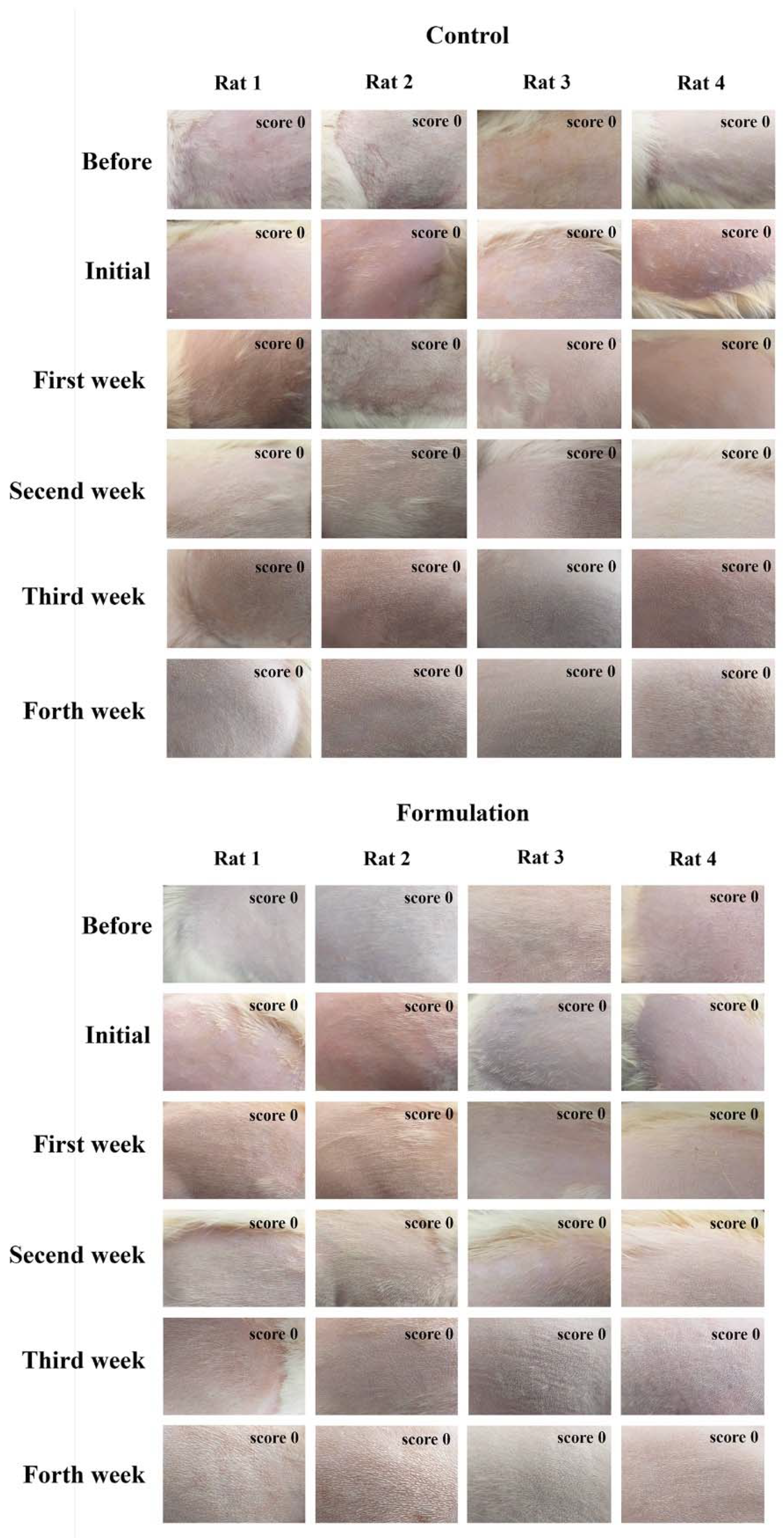 Pharmaceuticals 16 00670 g007 Pharmaceuticals 16 00670 g007