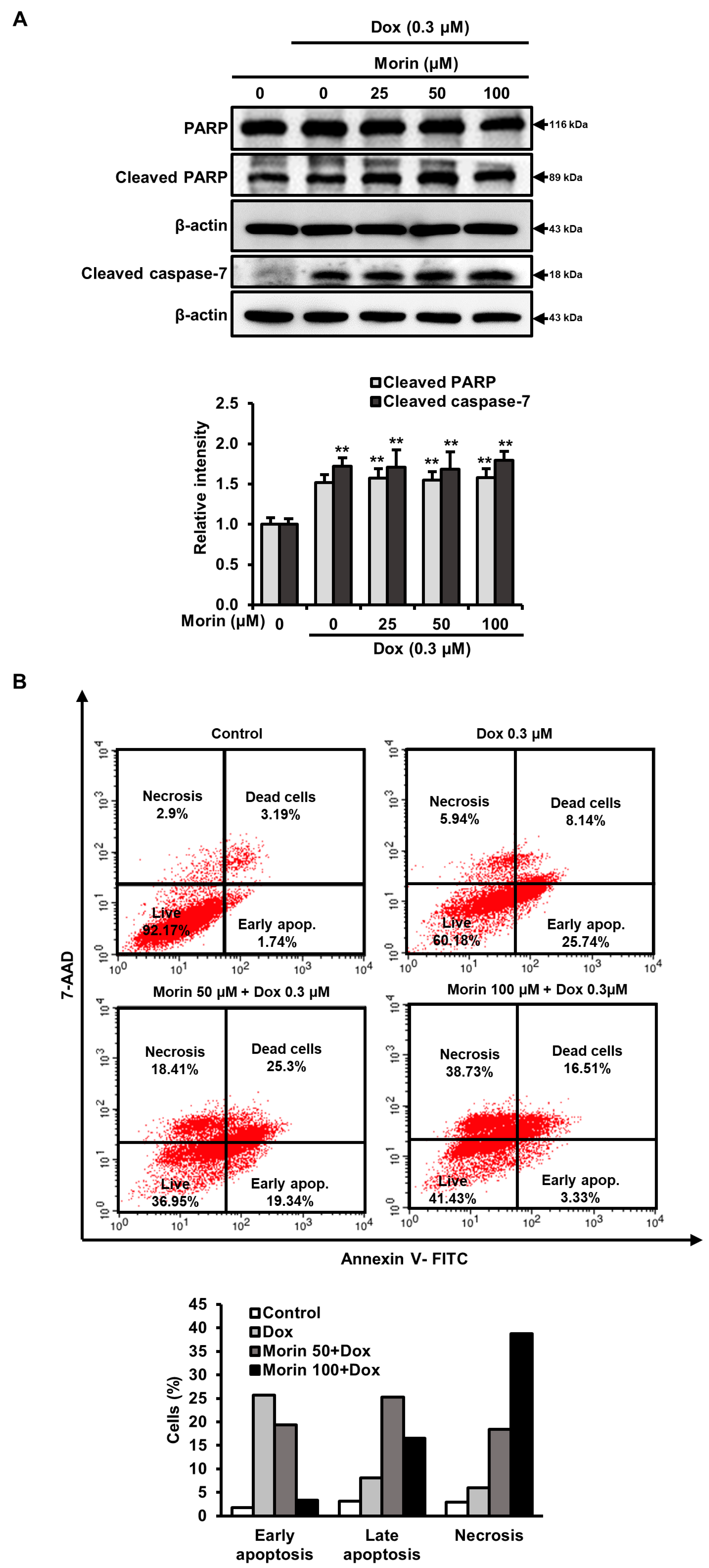 Pharmaceuticals 16 00672 g003 Pharmaceuticals 16 00672 g003
