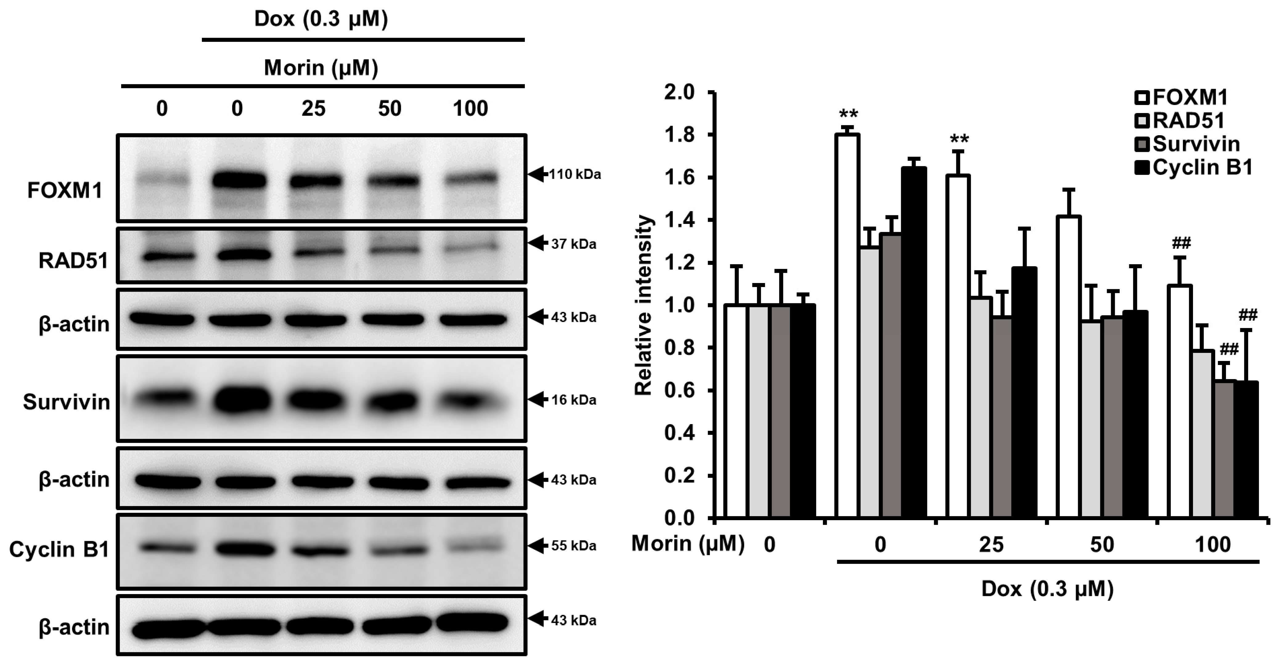 Pharmaceuticals 16 00672 g005 Pharmaceuticals 16 00672 g005