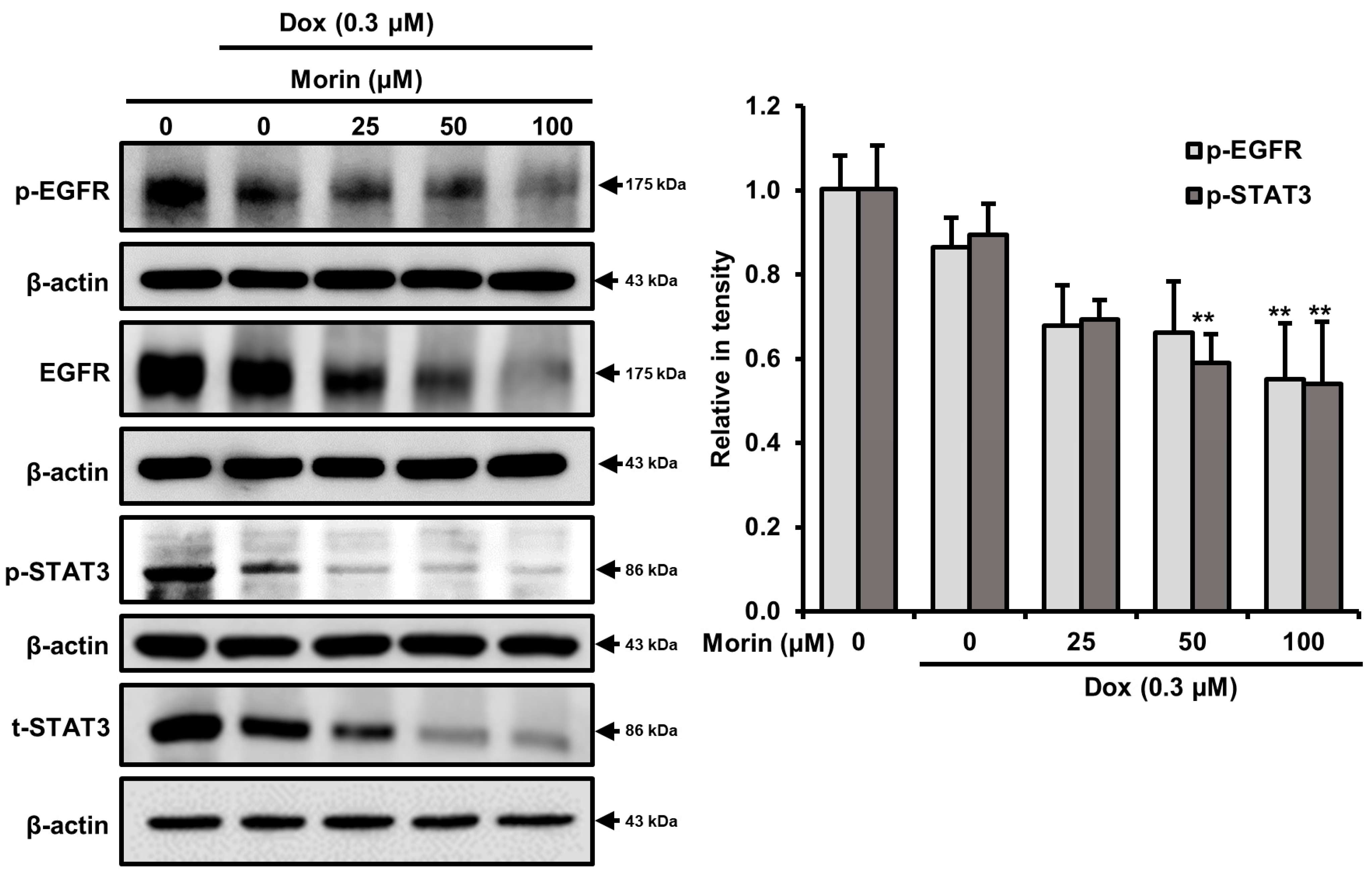 Pharmaceuticals 16 00672 g007 Pharmaceuticals 16 00672 g007
