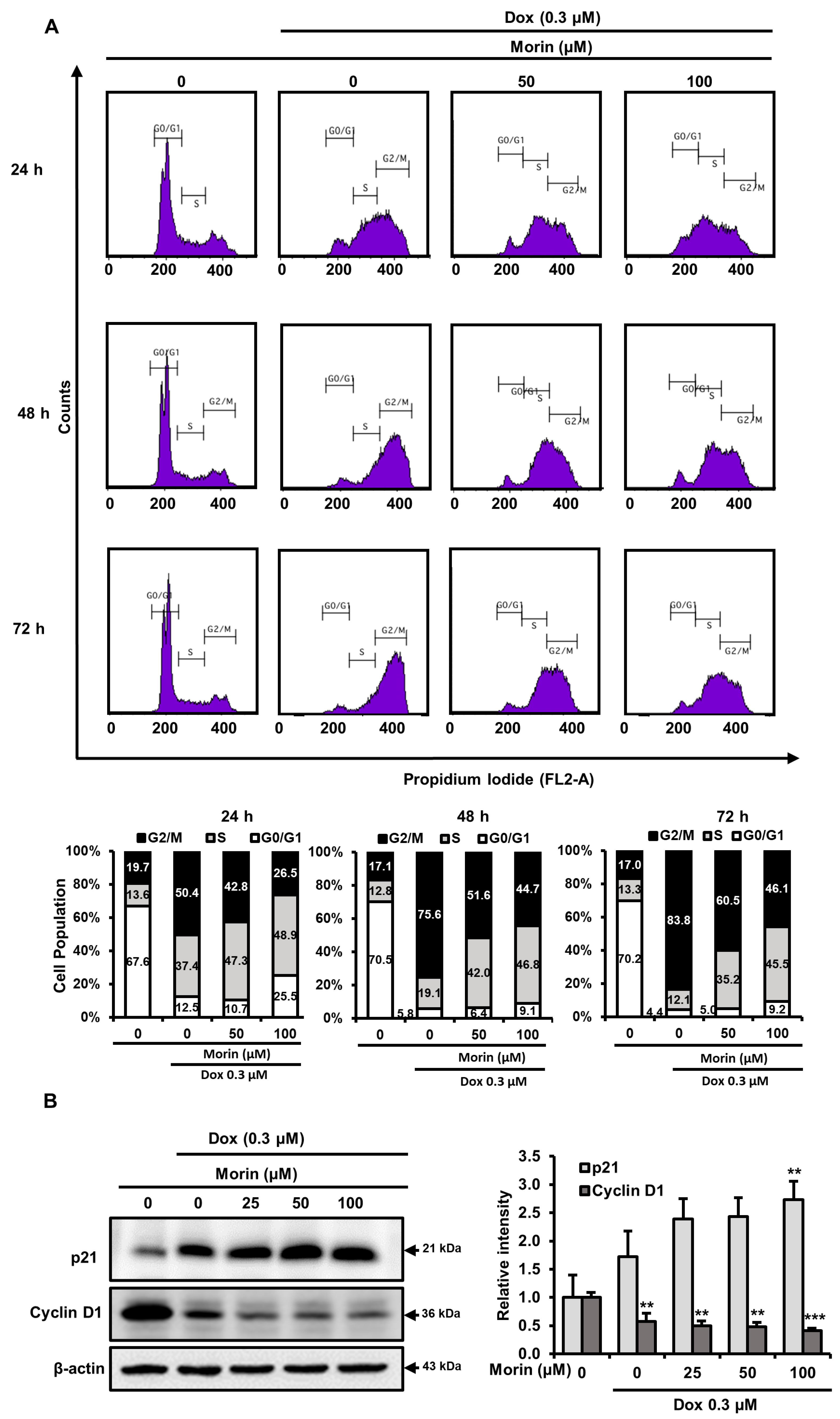 Pharmaceuticals 16 00672 g008 Pharmaceuticals 16 00672 g008
