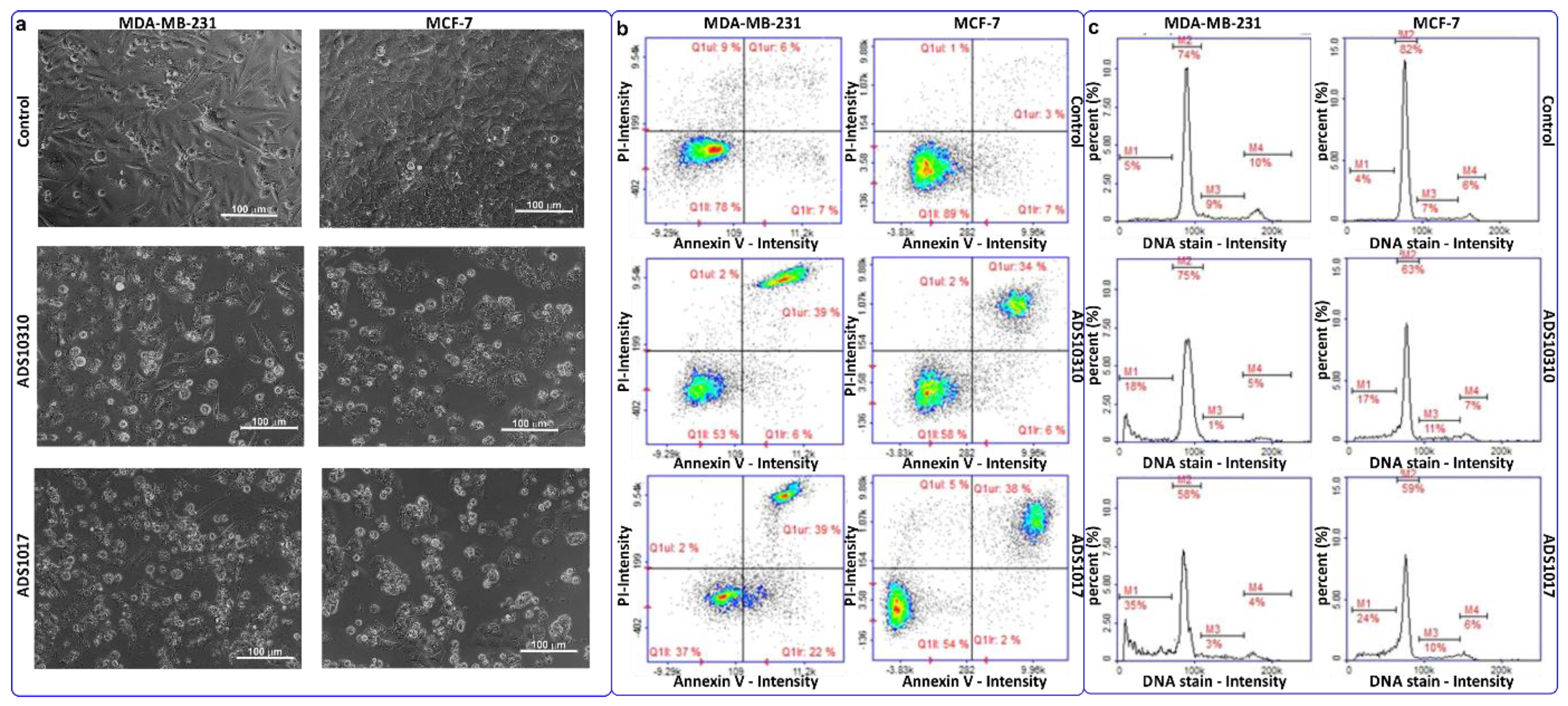 Pharmaceuticals 16 00675 g003 Pharmaceuticals 16 00675 g003