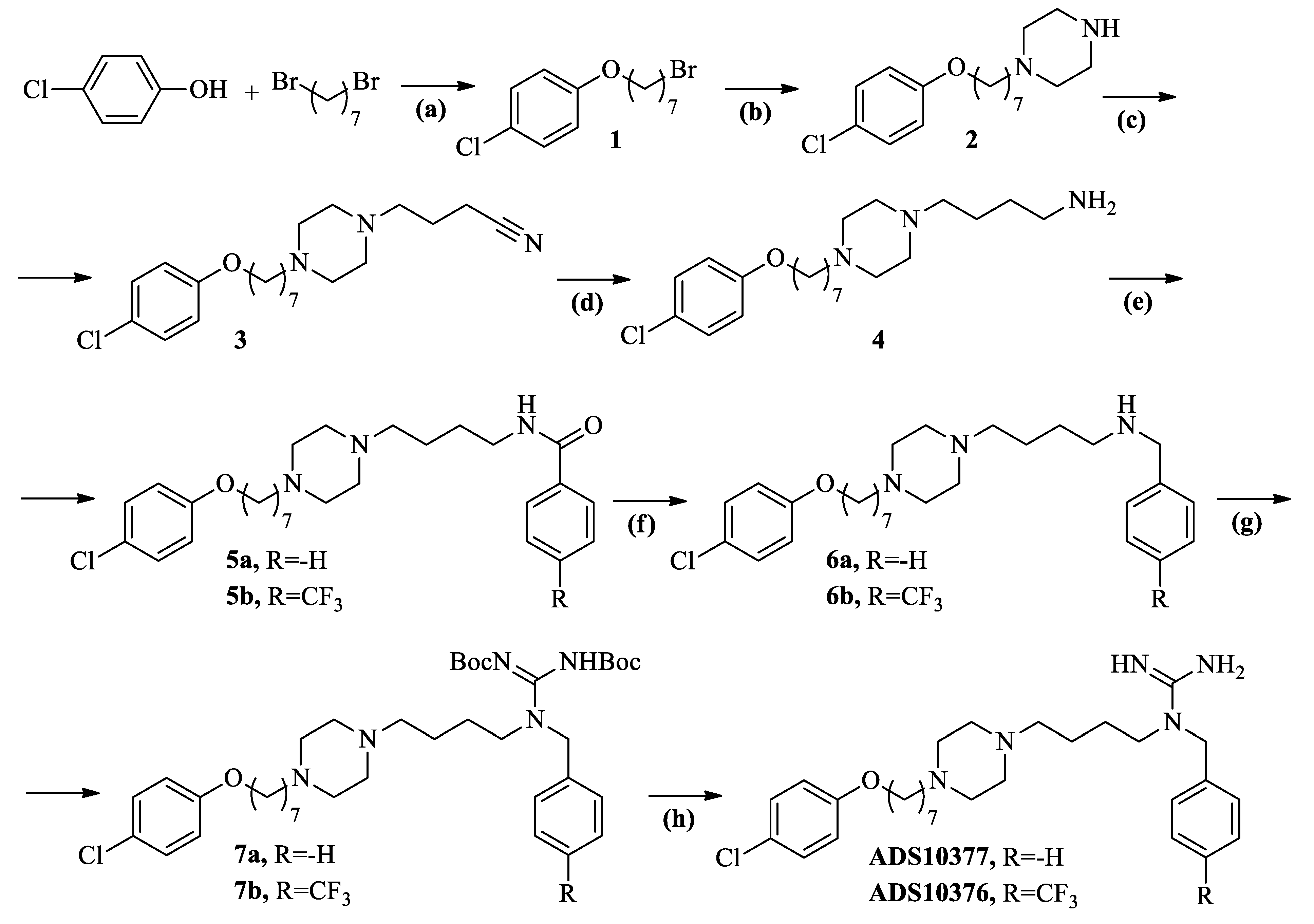 Pharmaceuticals 16 00675 sch002 Pharmaceuticals 16 00675 sch002