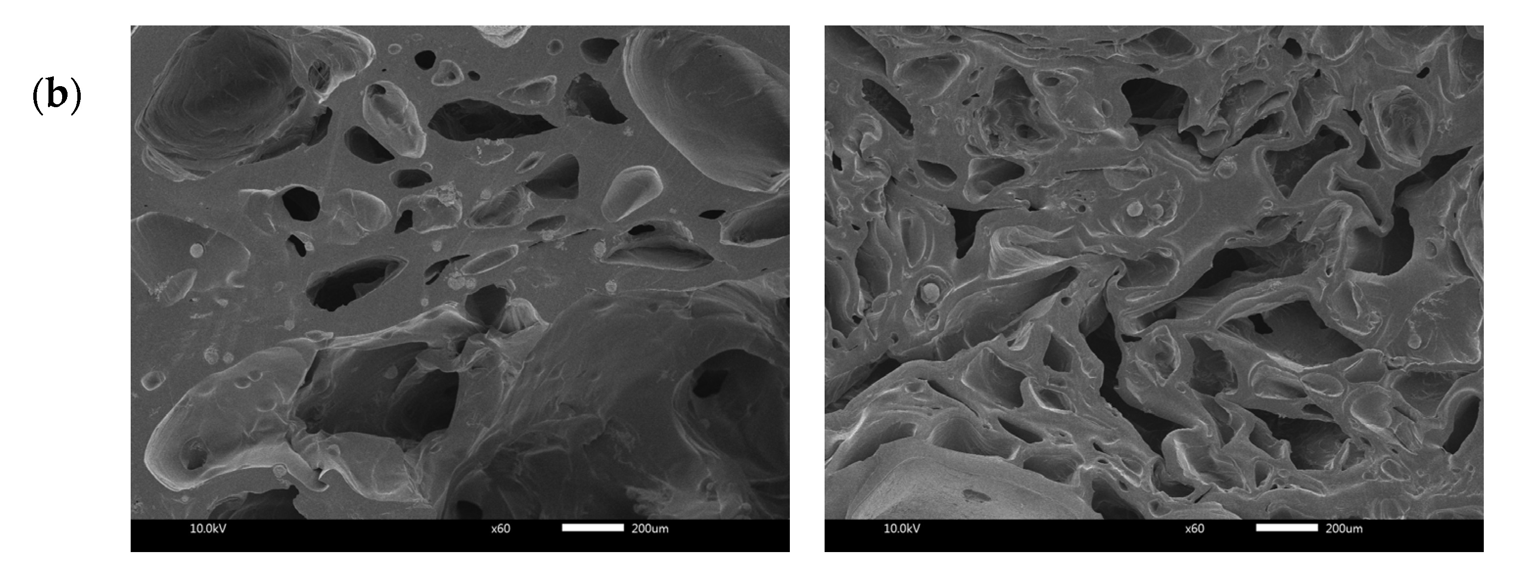 Pharmaceuticals 16 00685 g003b Pharmaceuticals 16 00685 g003b