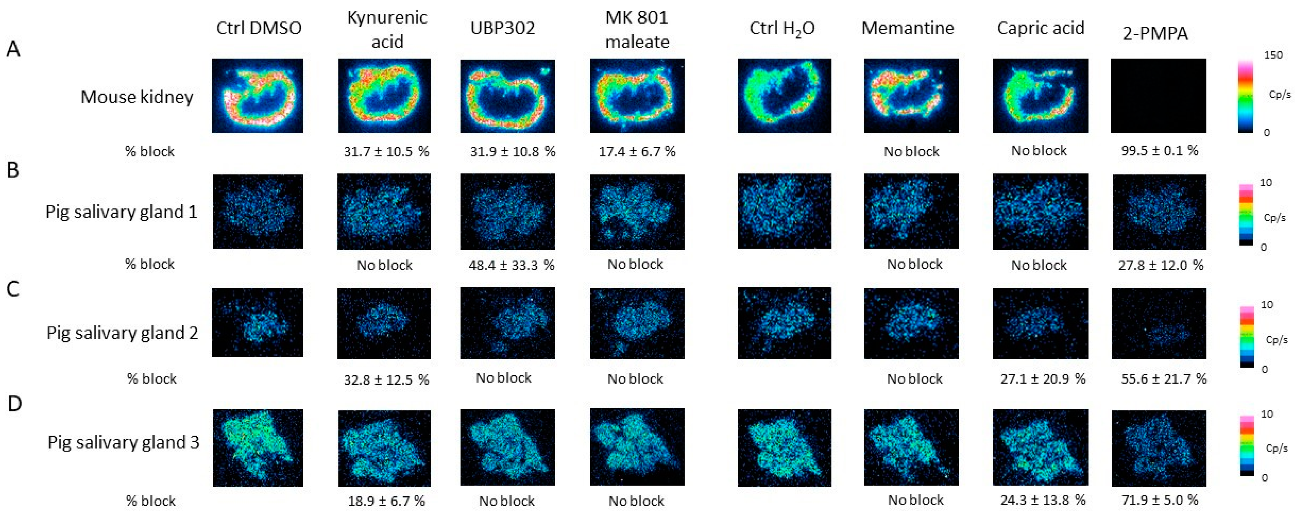 Pharmaceuticals 16 00692 g011 Pharmaceuticals 16 00692 g011