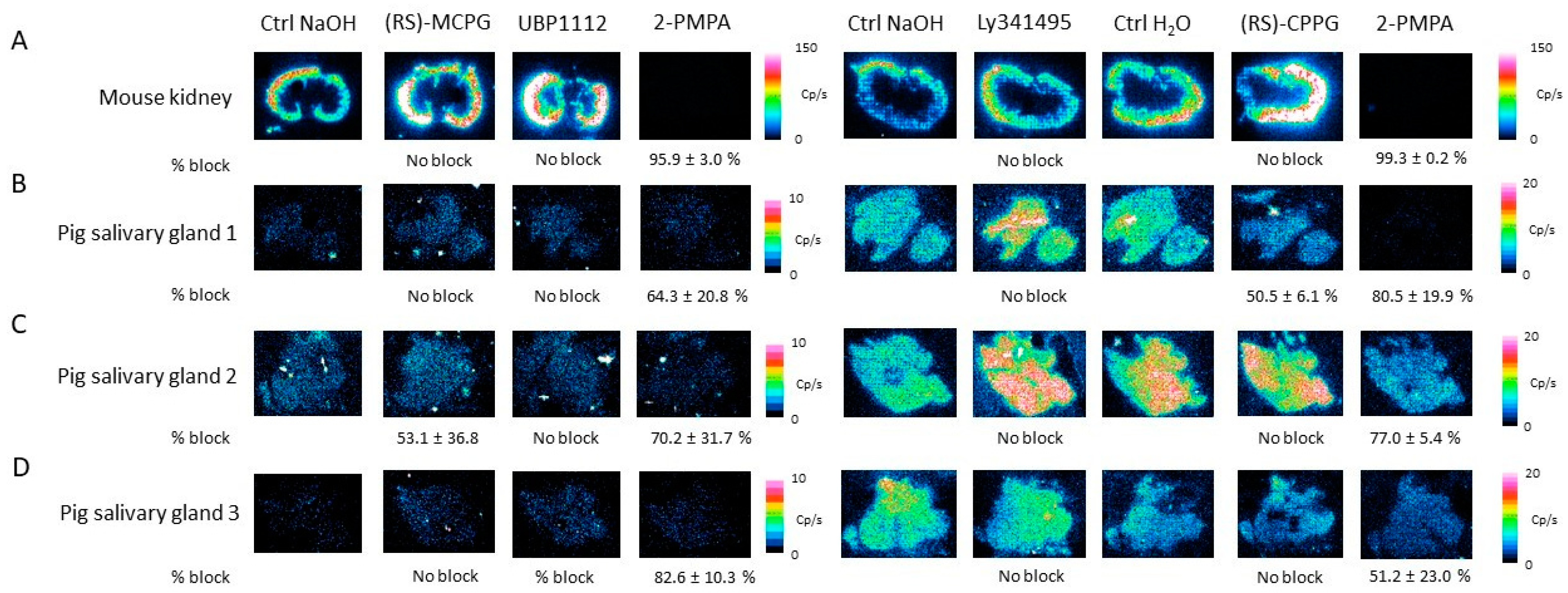 Pharmaceuticals 16 00692 g013 Pharmaceuticals 16 00692 g013