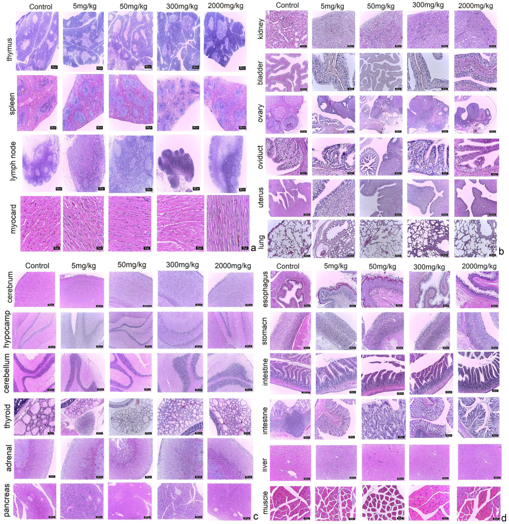 Pharmaceuticals 16 00694 g002 Pharmaceuticals 16 00694 g002