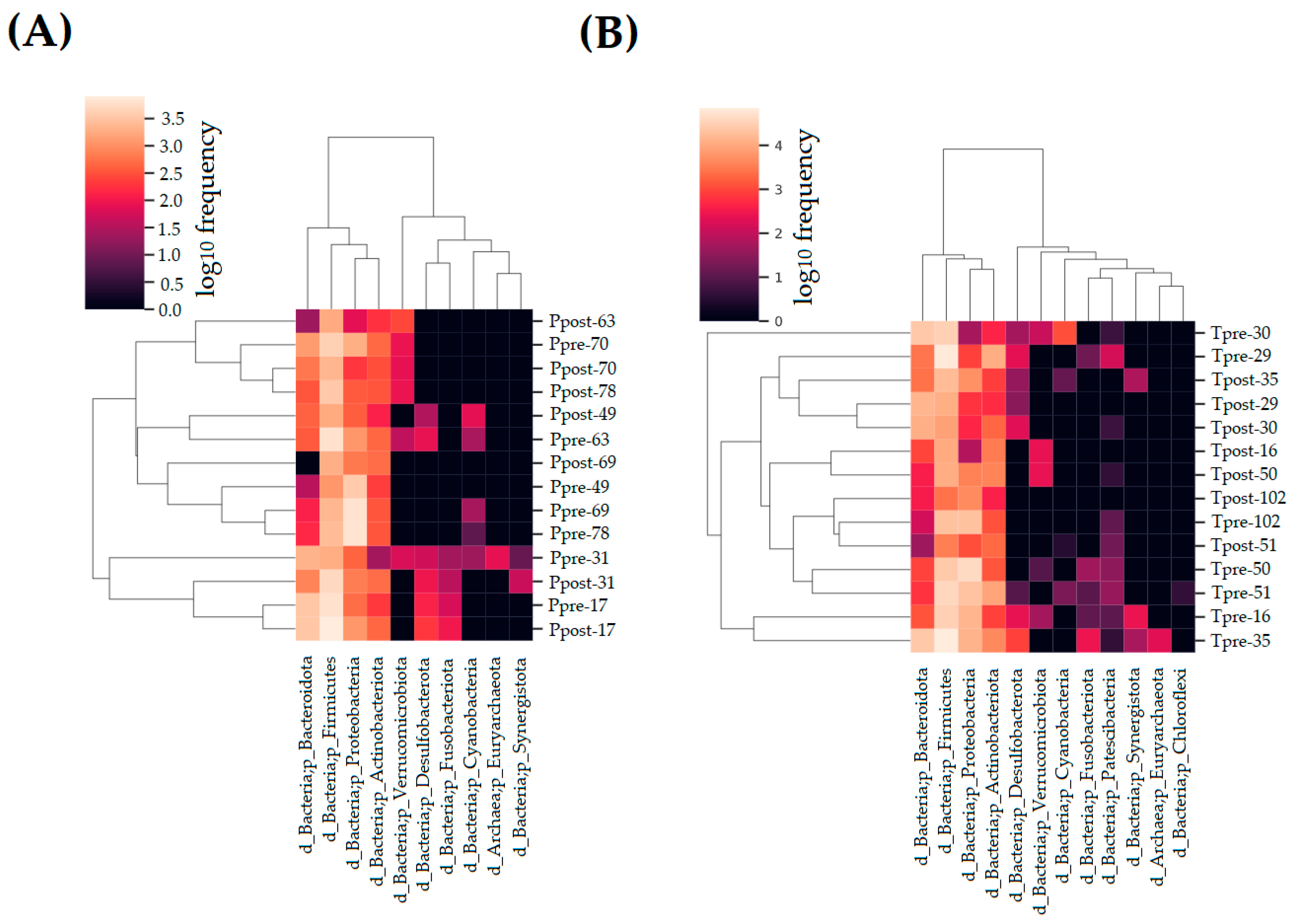 Pharmaceuticals 16 00695 g003 Pharmaceuticals 16 00695 g003