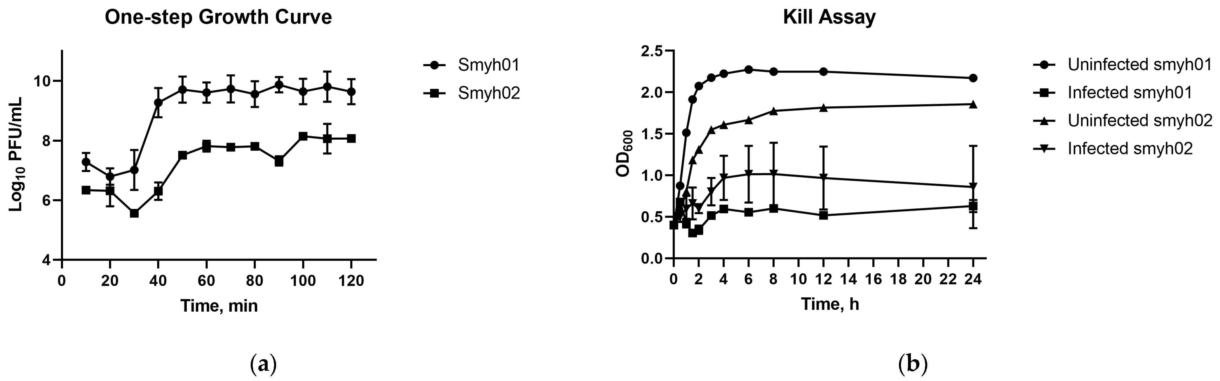 Pharmaceuticals 16 00698 g002