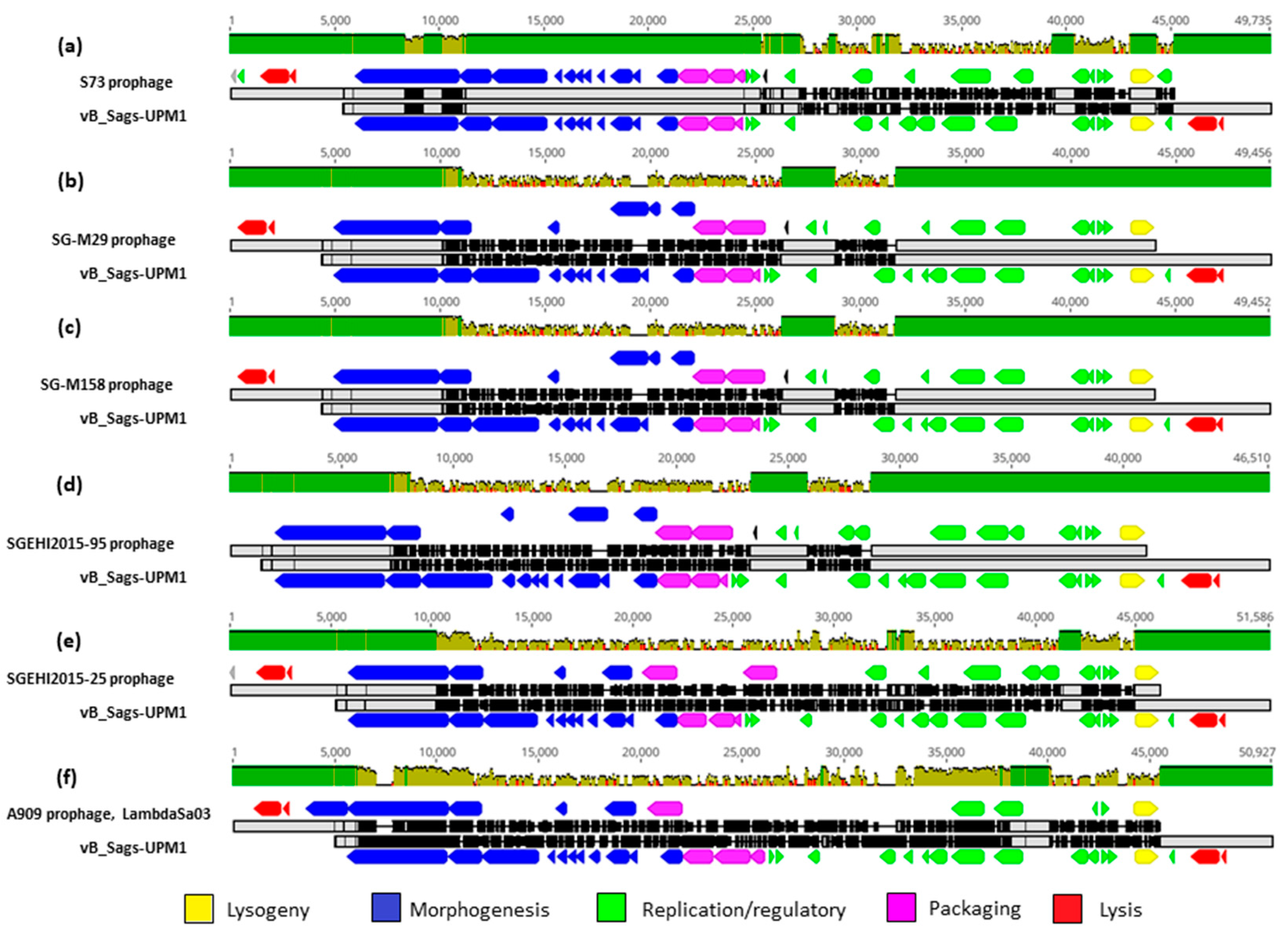 Pharmaceuticals 16 00698 g004