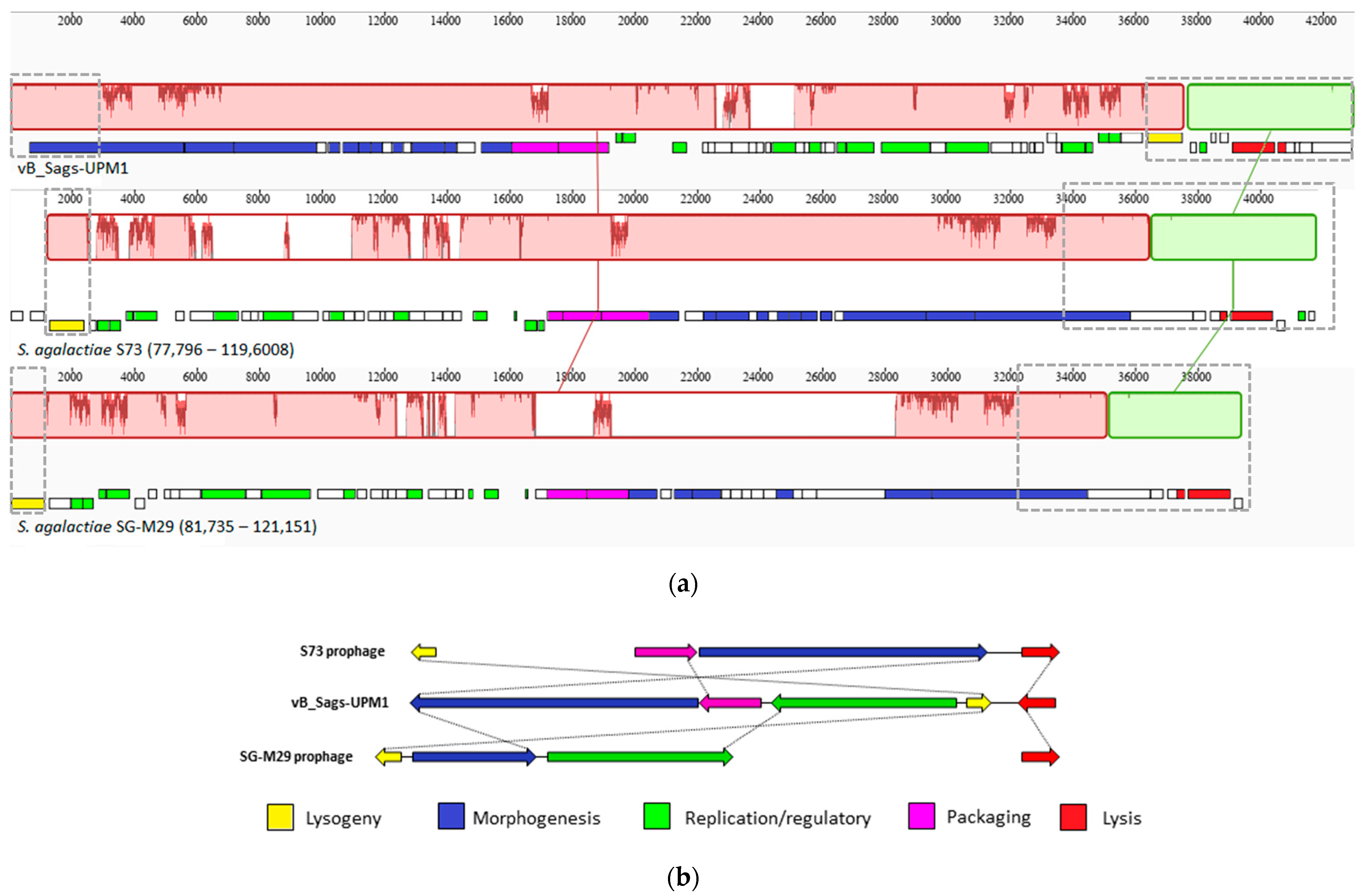 Pharmaceuticals 16 00698 g005