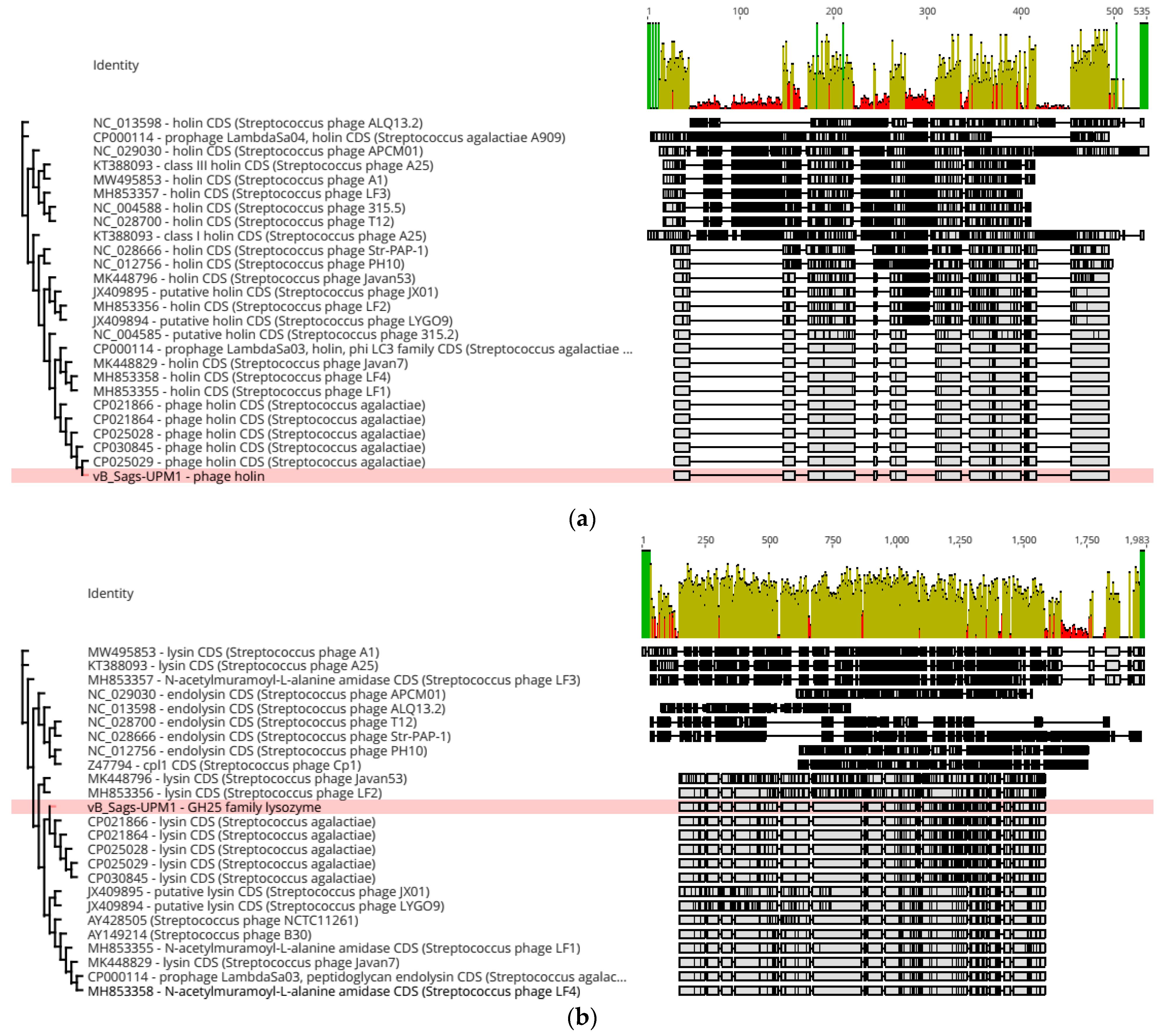 Pharmaceuticals 16 00698 g006